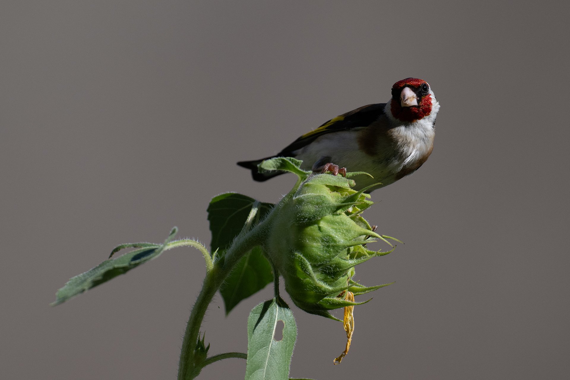 nature_76.jpg