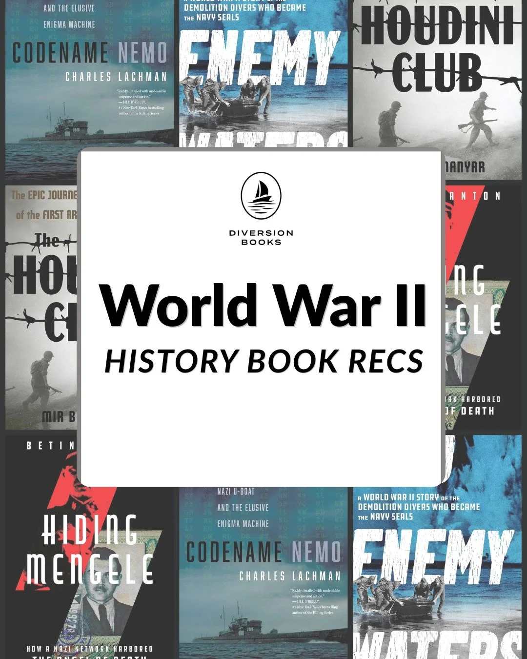 In honor of Victory in Europe Day, we invite you to explore our curated selection of World War II history books. These titles offer profound insights into the events that shaped our world.

Title recommendations to honor the significant day:
-THE HOU