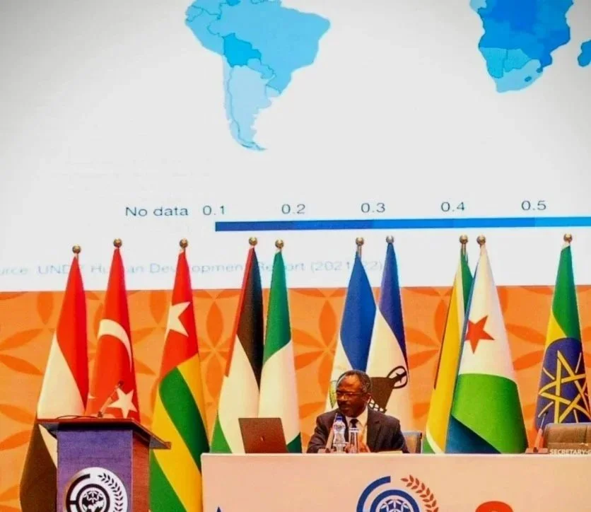 IMG_5603 Copy Copy.jpg