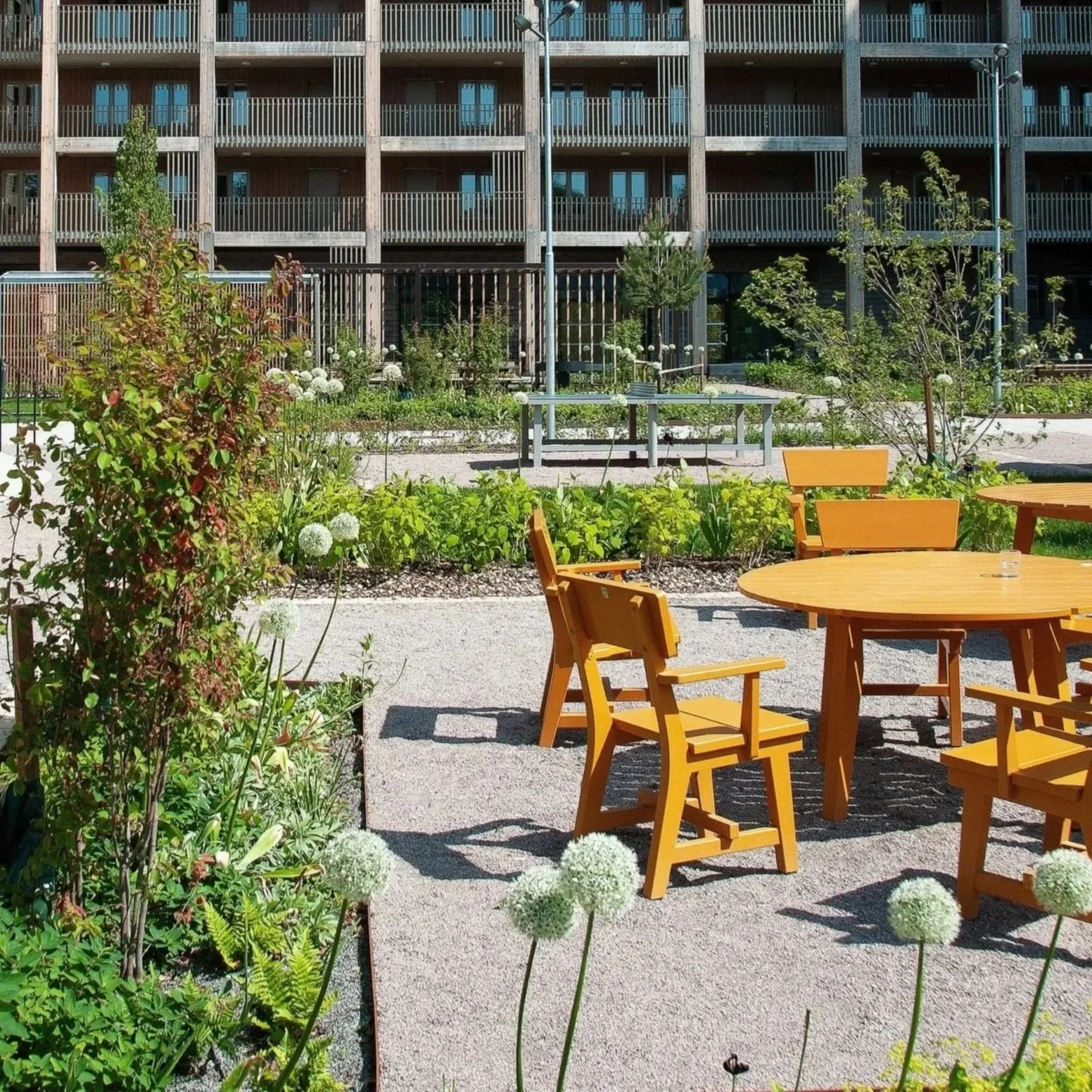 DSC_2518 Aquila 2.jpg