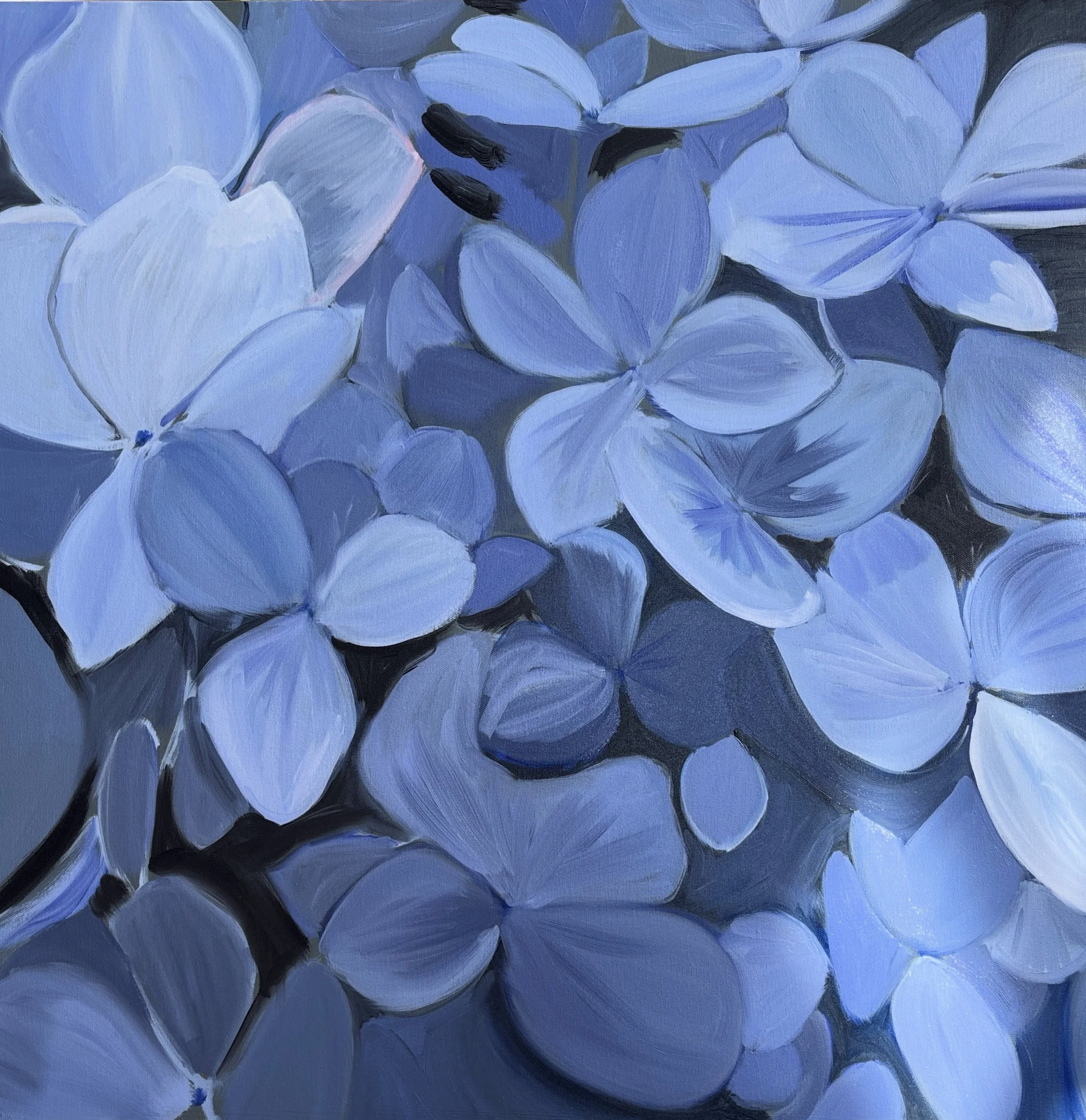 Blue Hydrangea. A wonderfully up close study of the delicate petals of this flower.  They are so small and dense I felt the only way to capture them was to dive in!