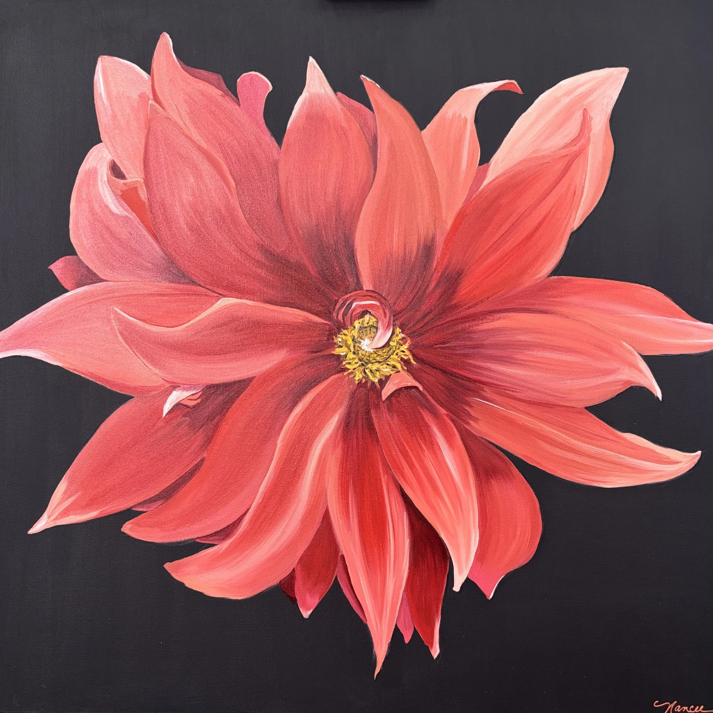 Dahlia. Real drama is created by the black background against the luscious orangey-red petals.  The centre of these flowers is surprisingly conical!