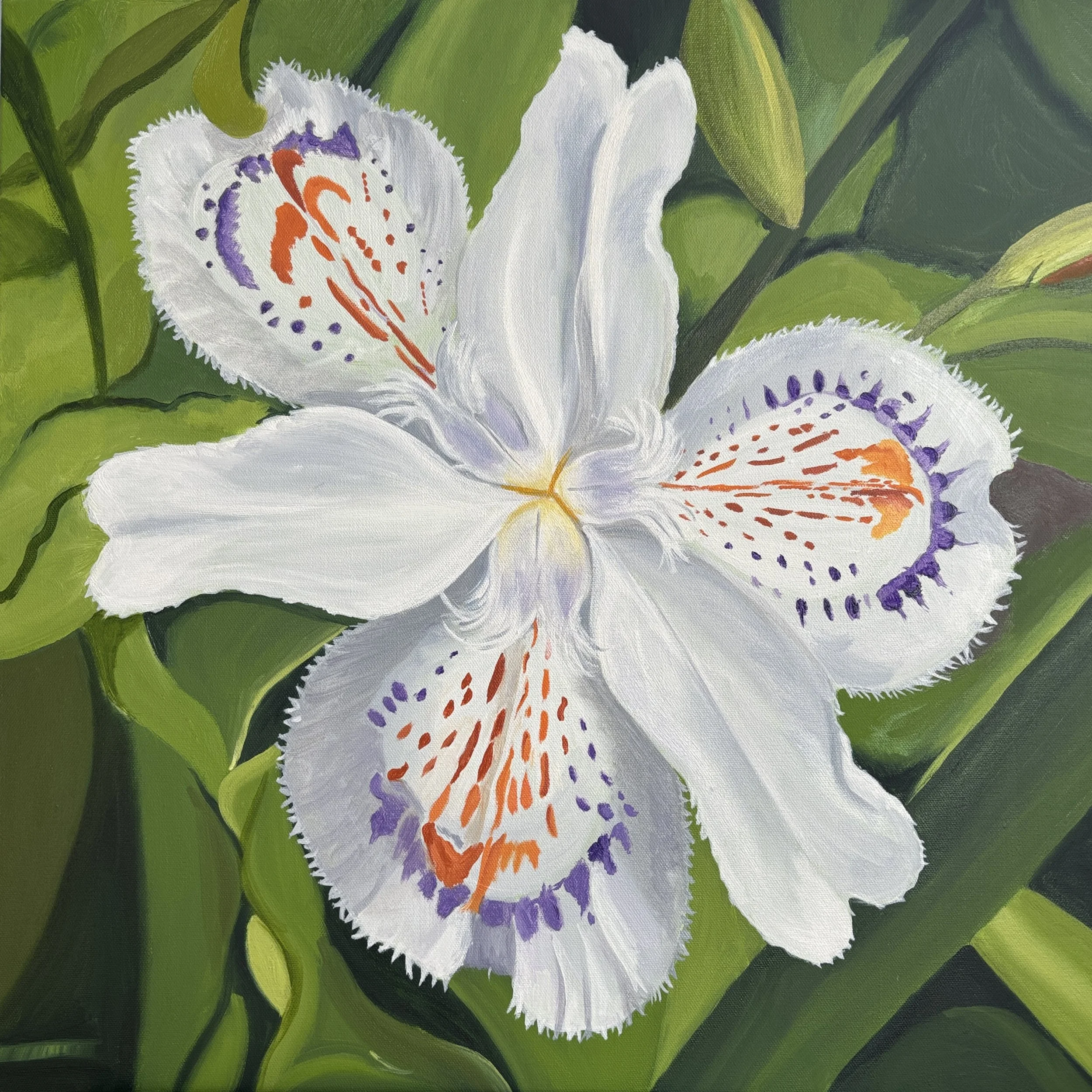 White Japanese Lily. This delicate little flower grows wild on the side of paths in the parks.  I was smitten with the lovely pattern on the petals.