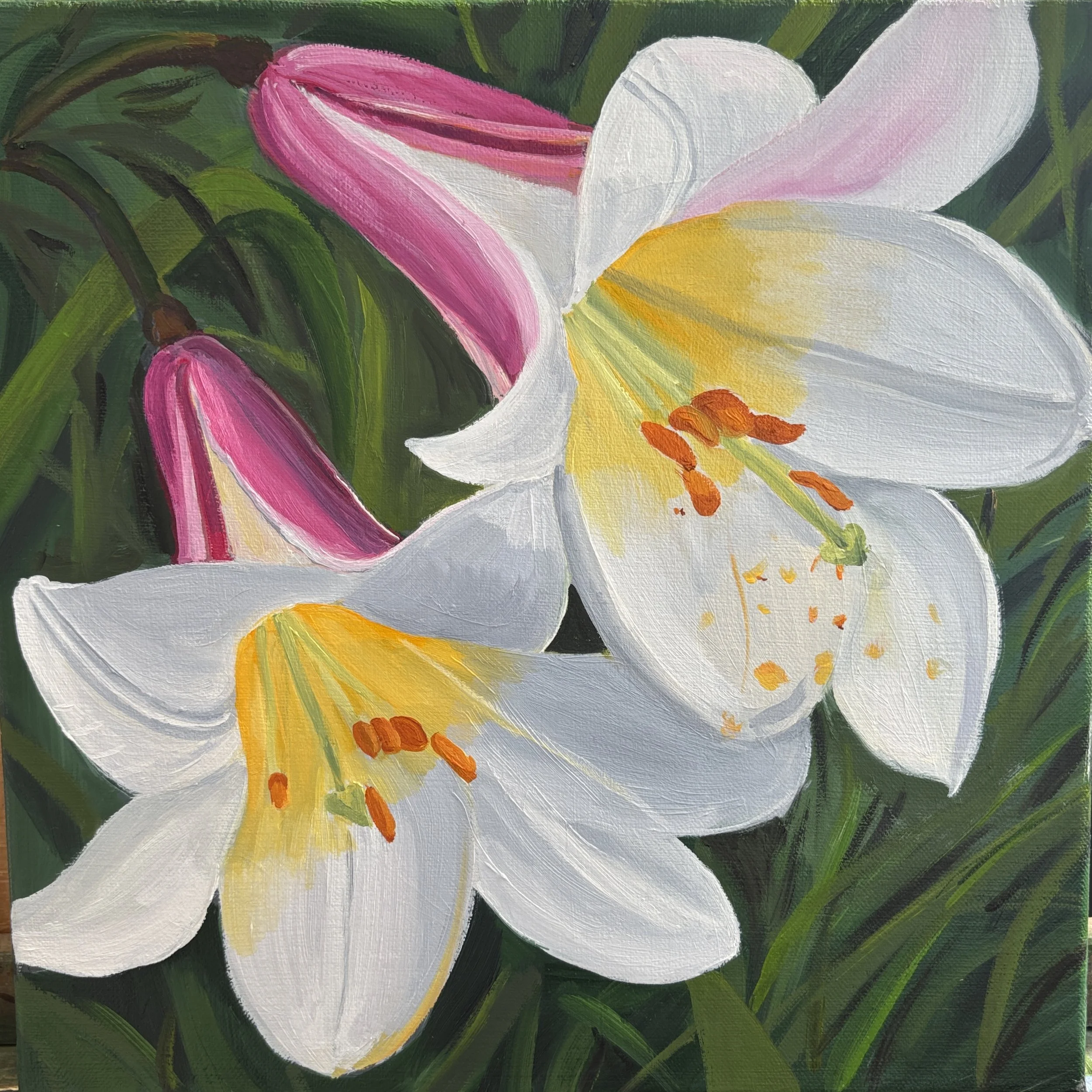 Double Trumpet Lily SOLD