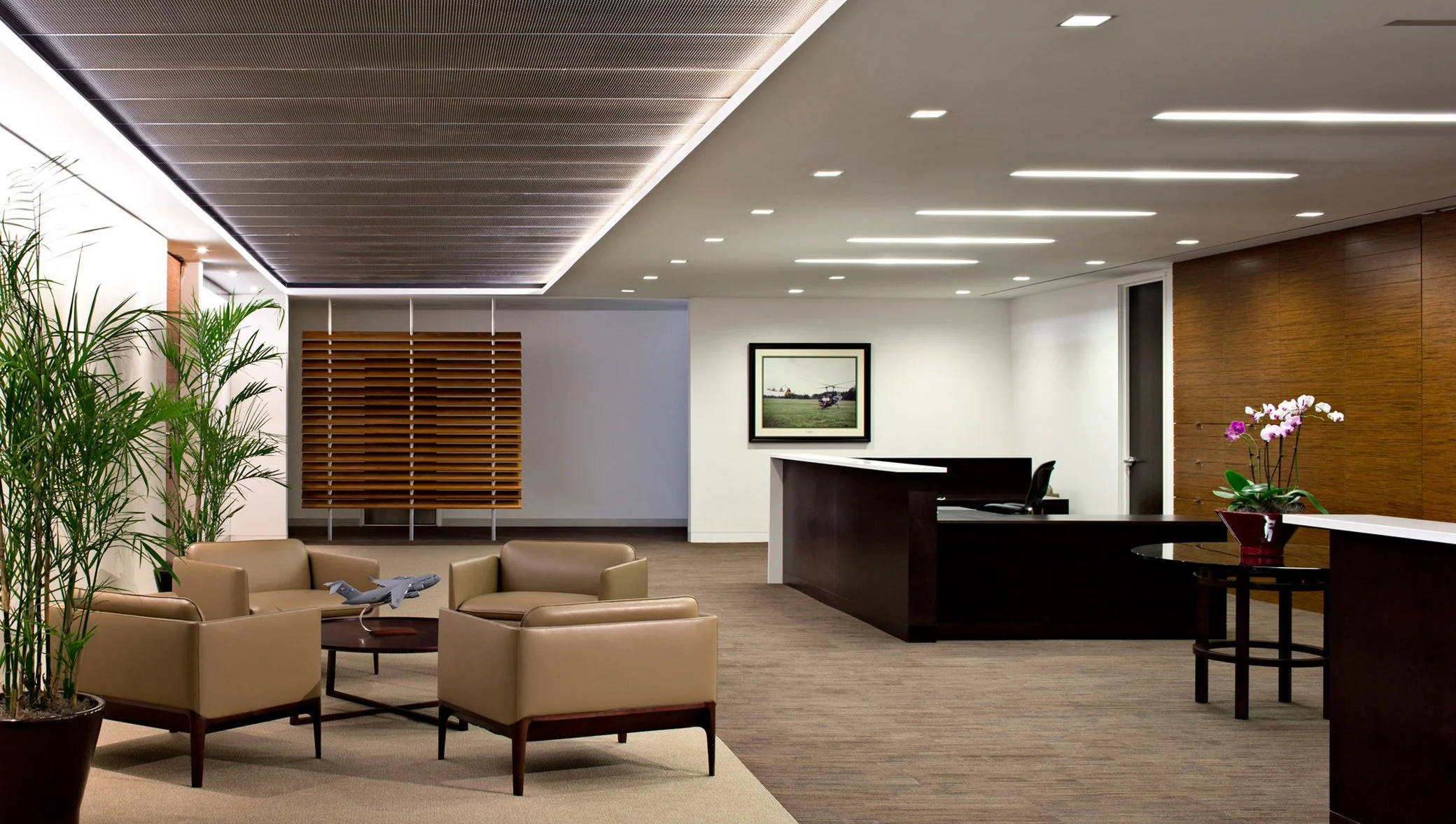 Curio_amenta emma_KamanCorporate_01.jpg