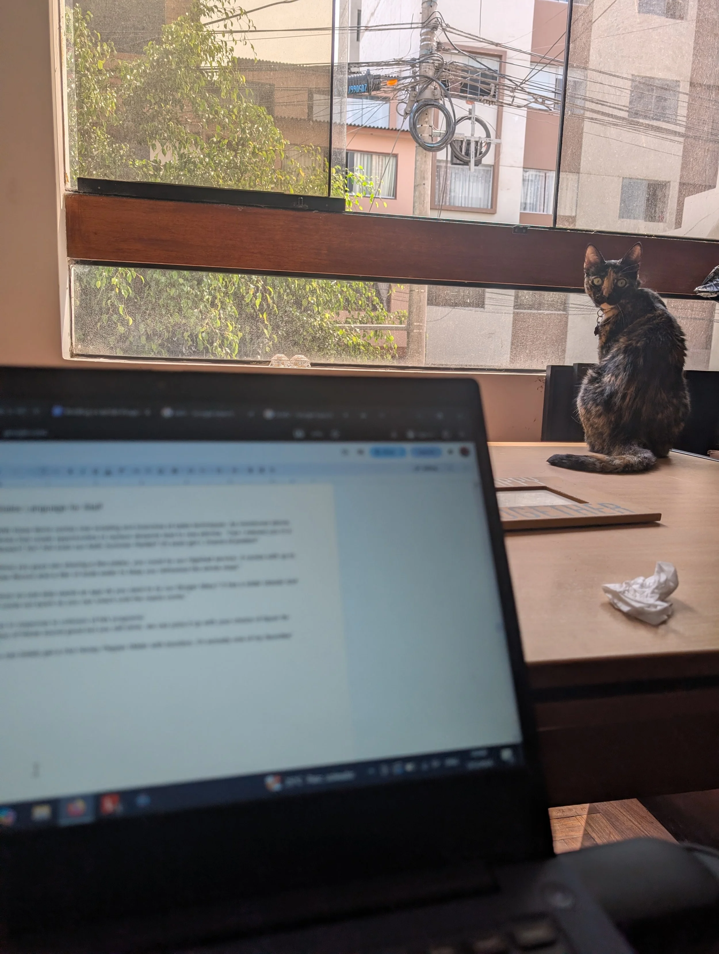 Manager AI Training