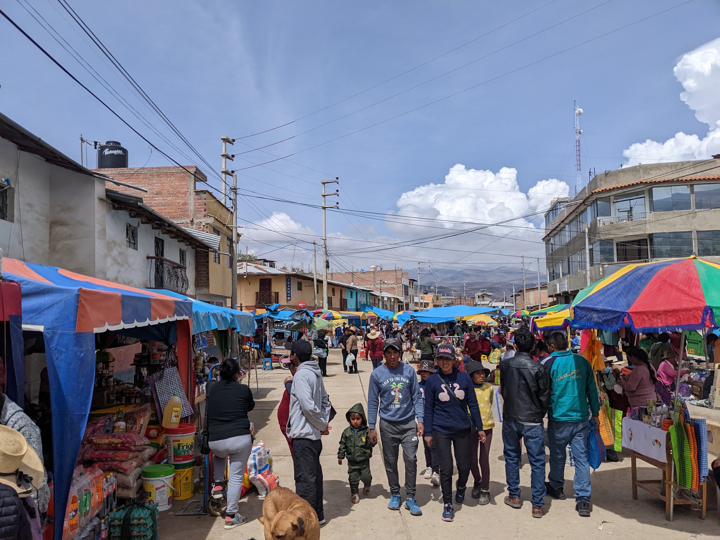 Market scene in Los Andes