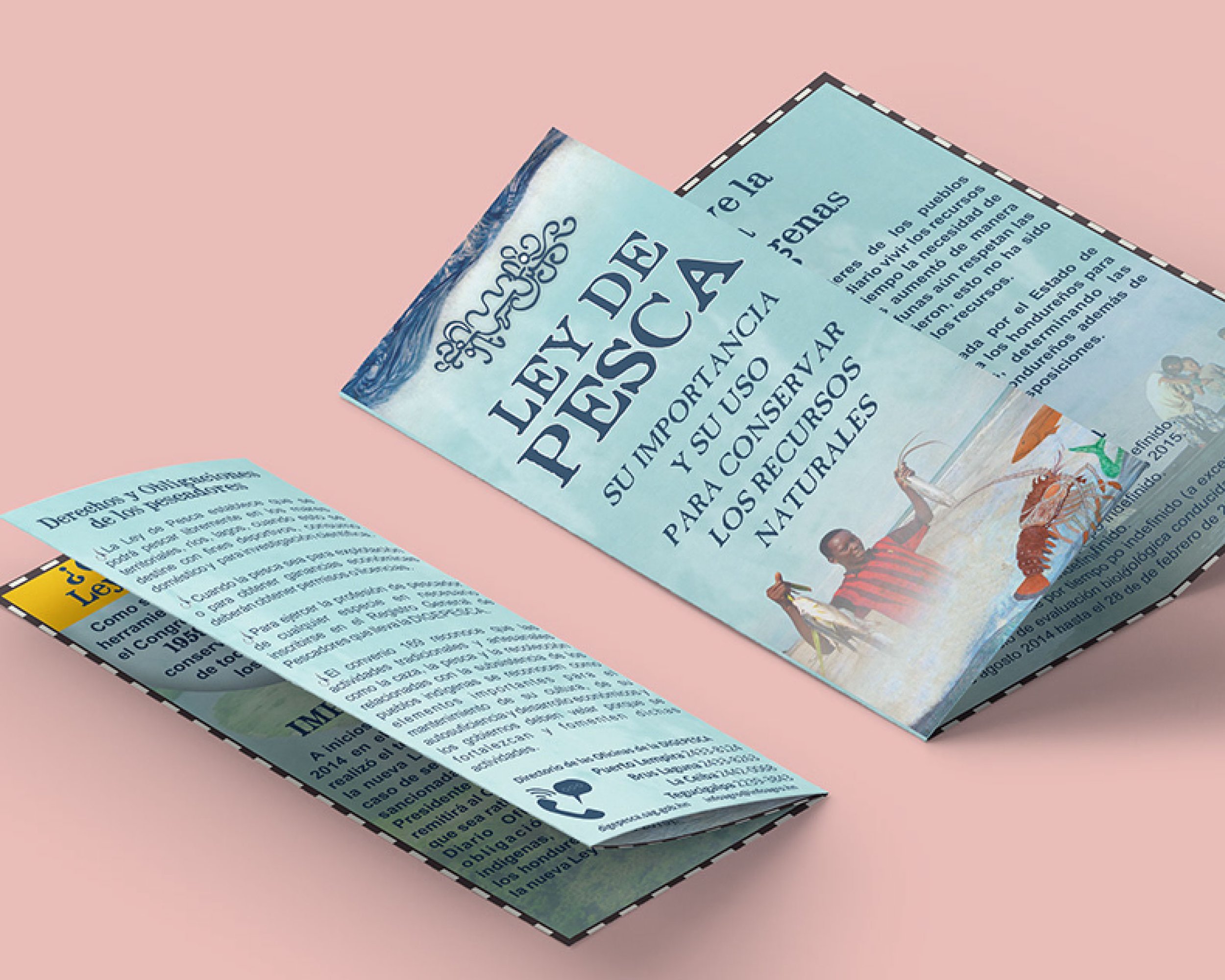 Portfolio_-05.jpg