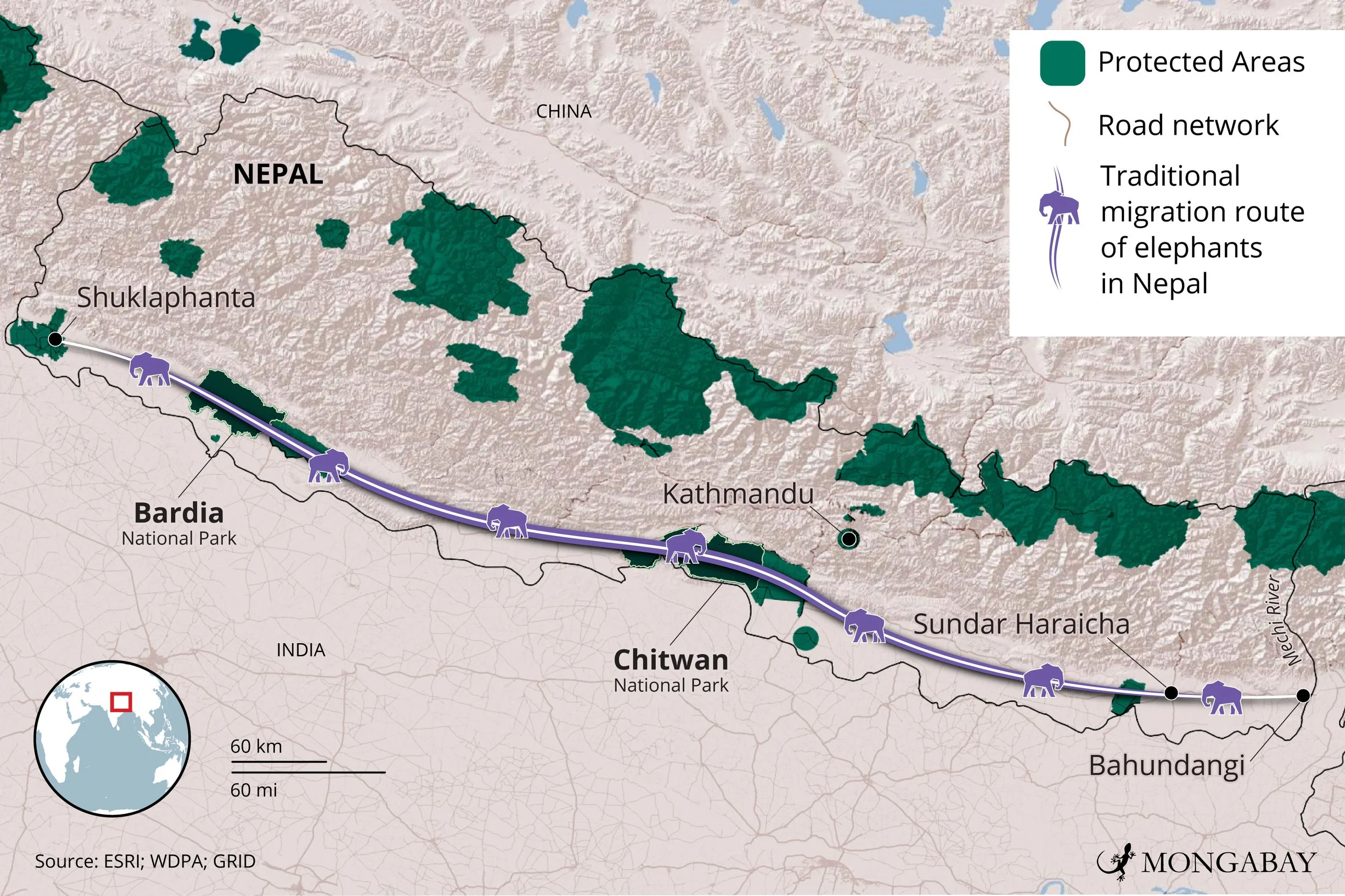 2025_19_Nepal_Elephants_v2.jpg