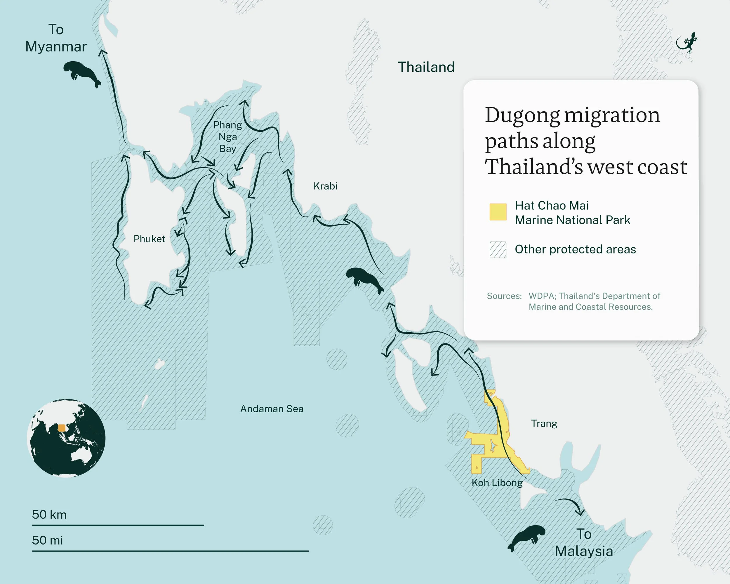 2025_59_AA_Thailand_Dugongs_v4.jpg