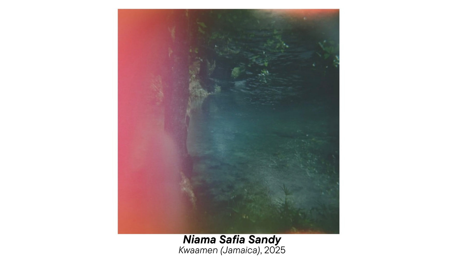 Kwaamen (Jamaica), 2025.zip - 1.PNG