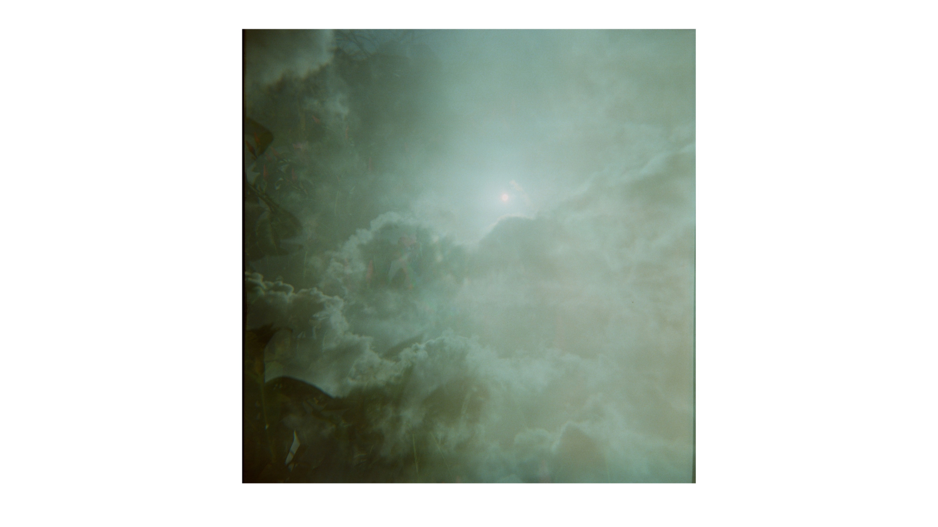 Nyame Anim | 8" Print