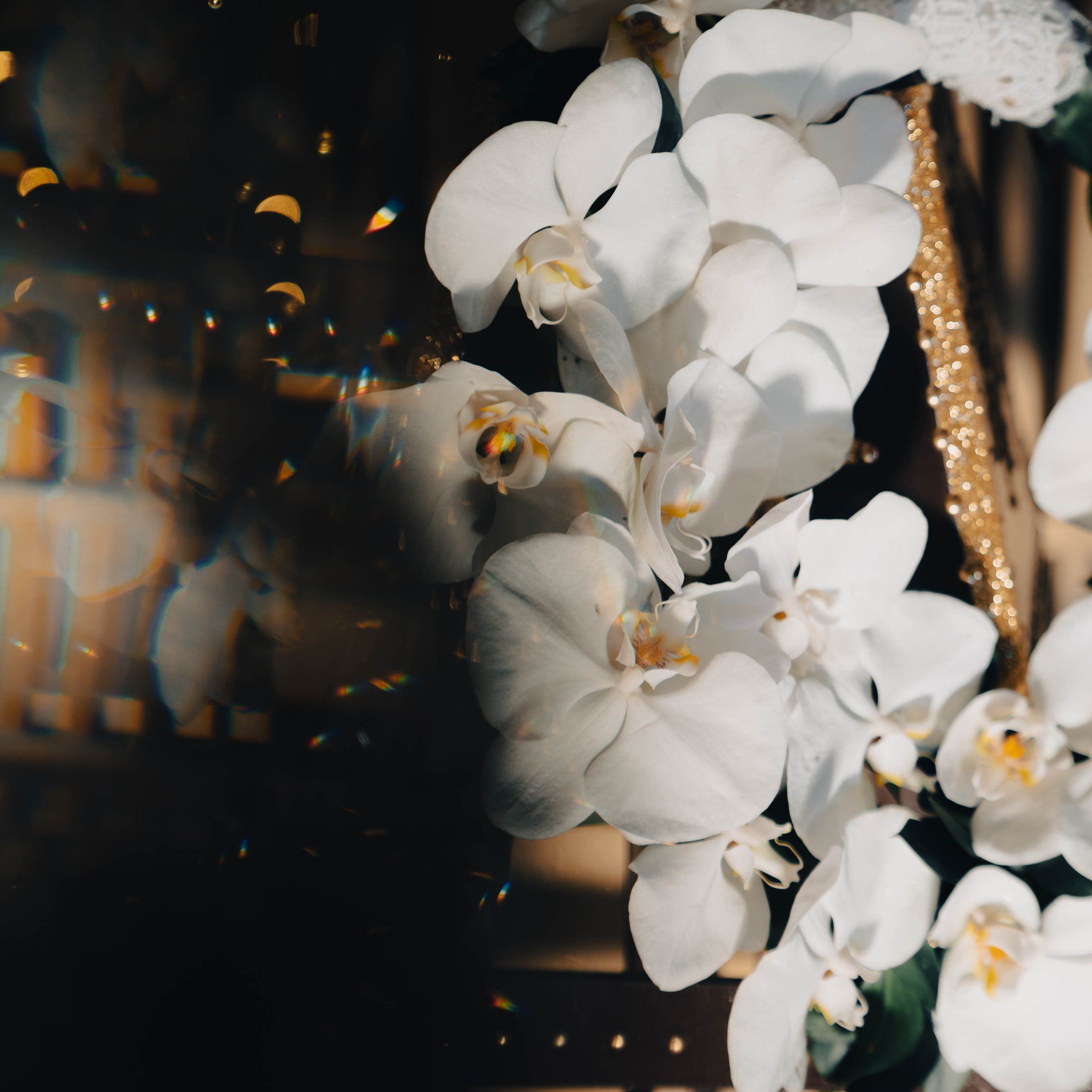 A close-up of white orchids with yellow centers, with a dark background and gold glitter accents.
