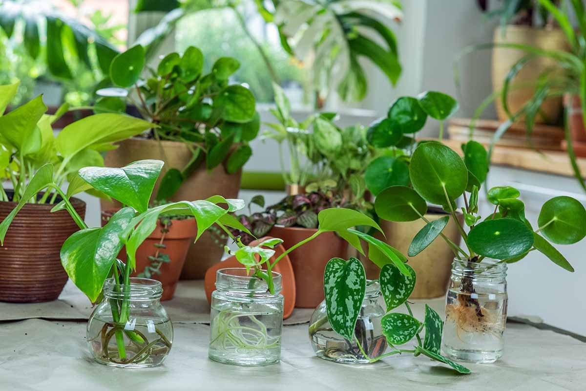 Propagation Workshop 101