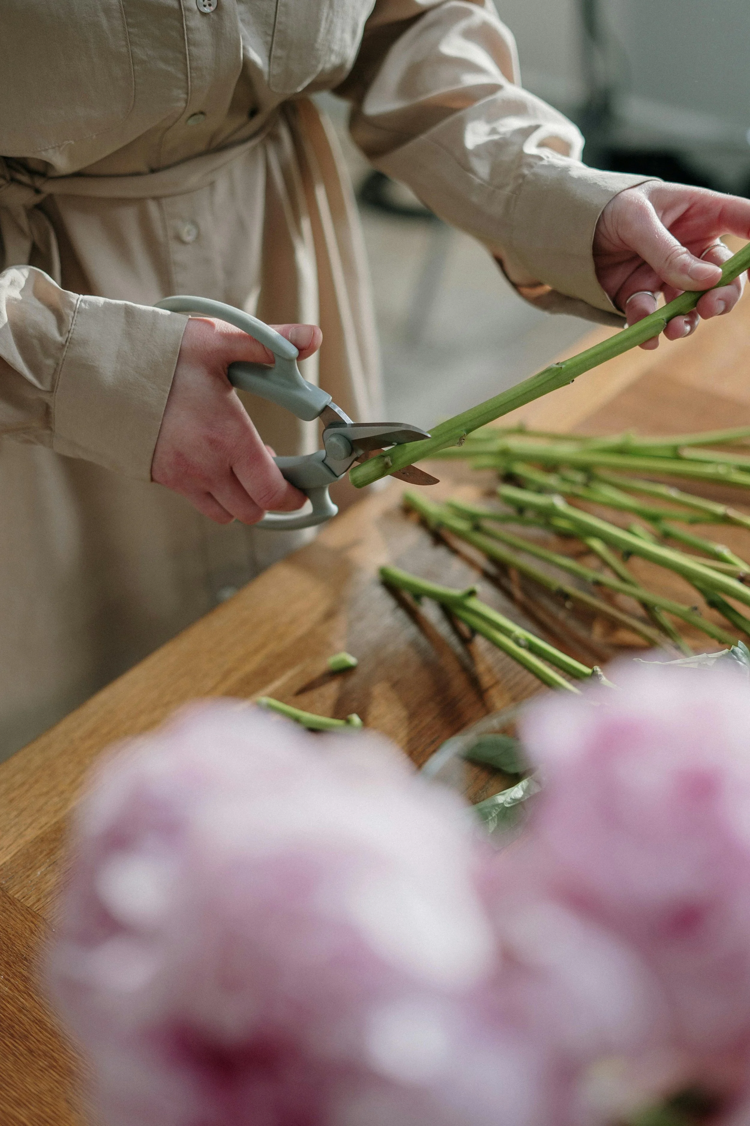 Person cutting green stalks with shears on a wooden table.