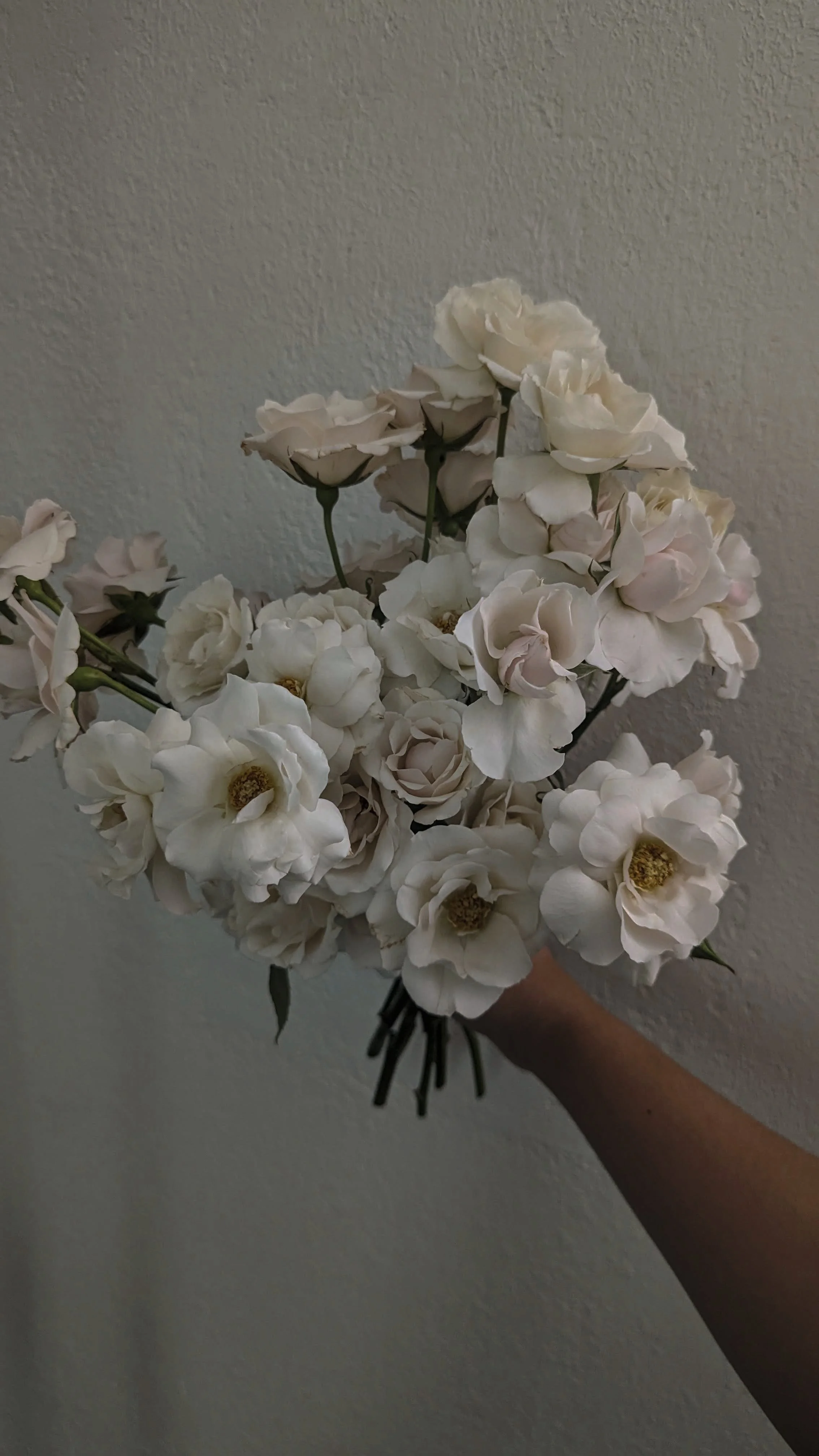 Person holding a bouquet of white roses against a plain wall.