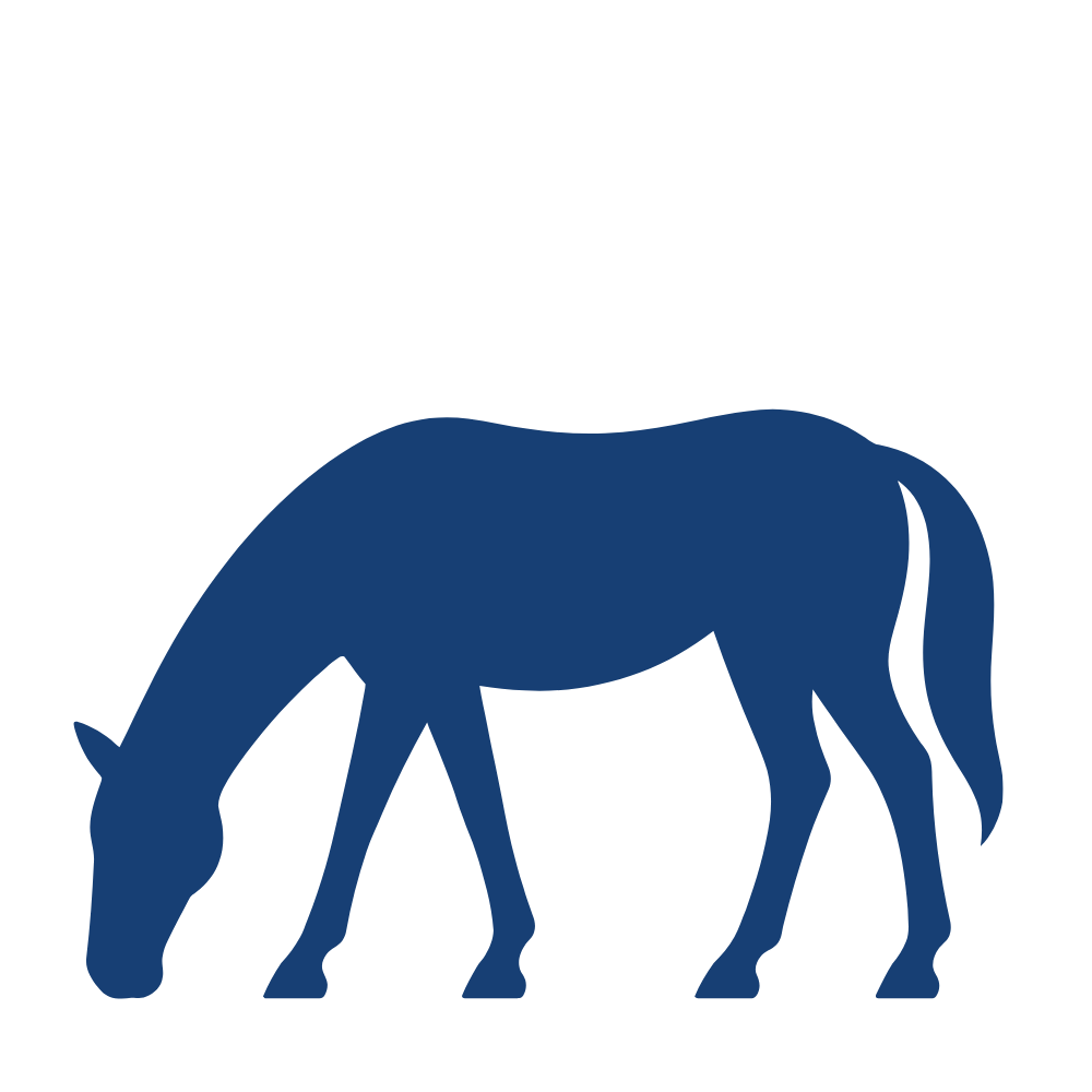 Silhouette of a horse in dark blue.