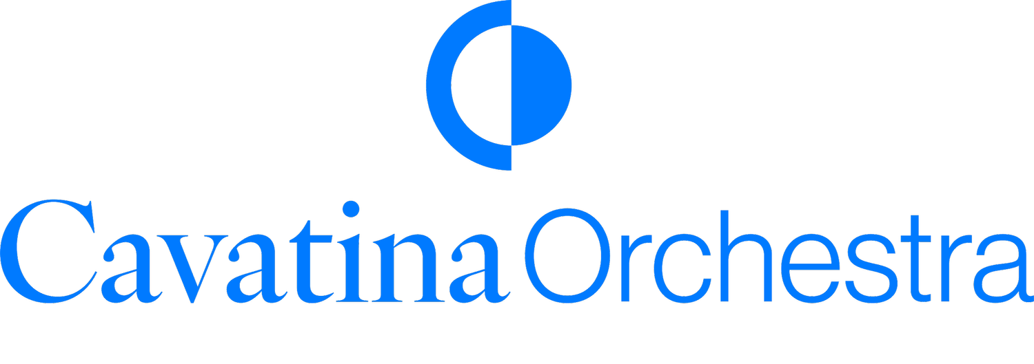 Cavatina Orchestra 