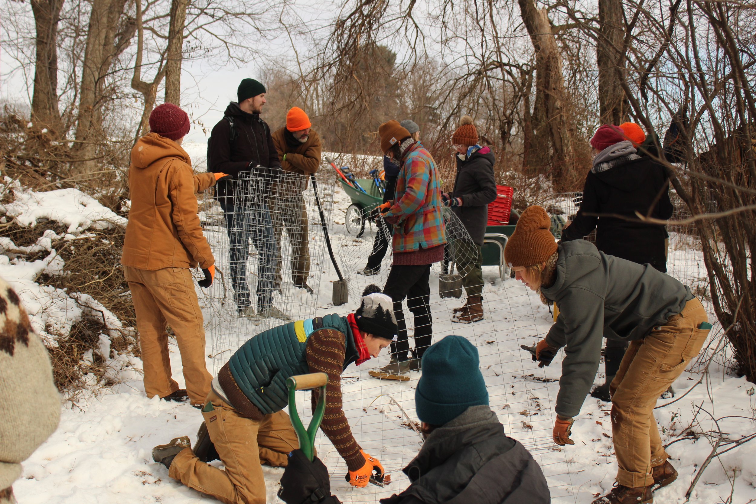 ECOLOGICAL RESTORATION TRAINING | Certificate Program