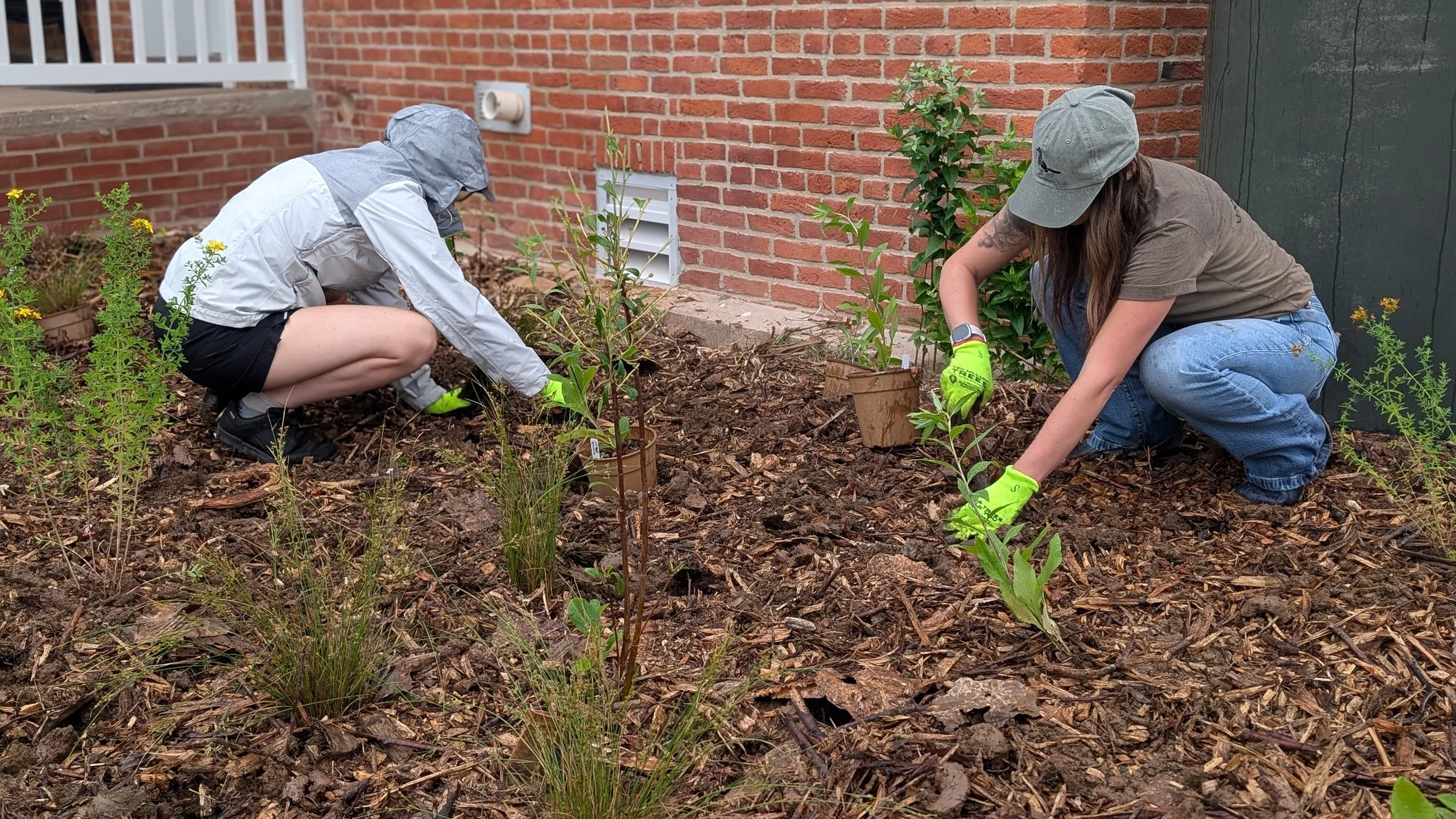 PXL_20260623_133218624.PORTRAIT.jpg