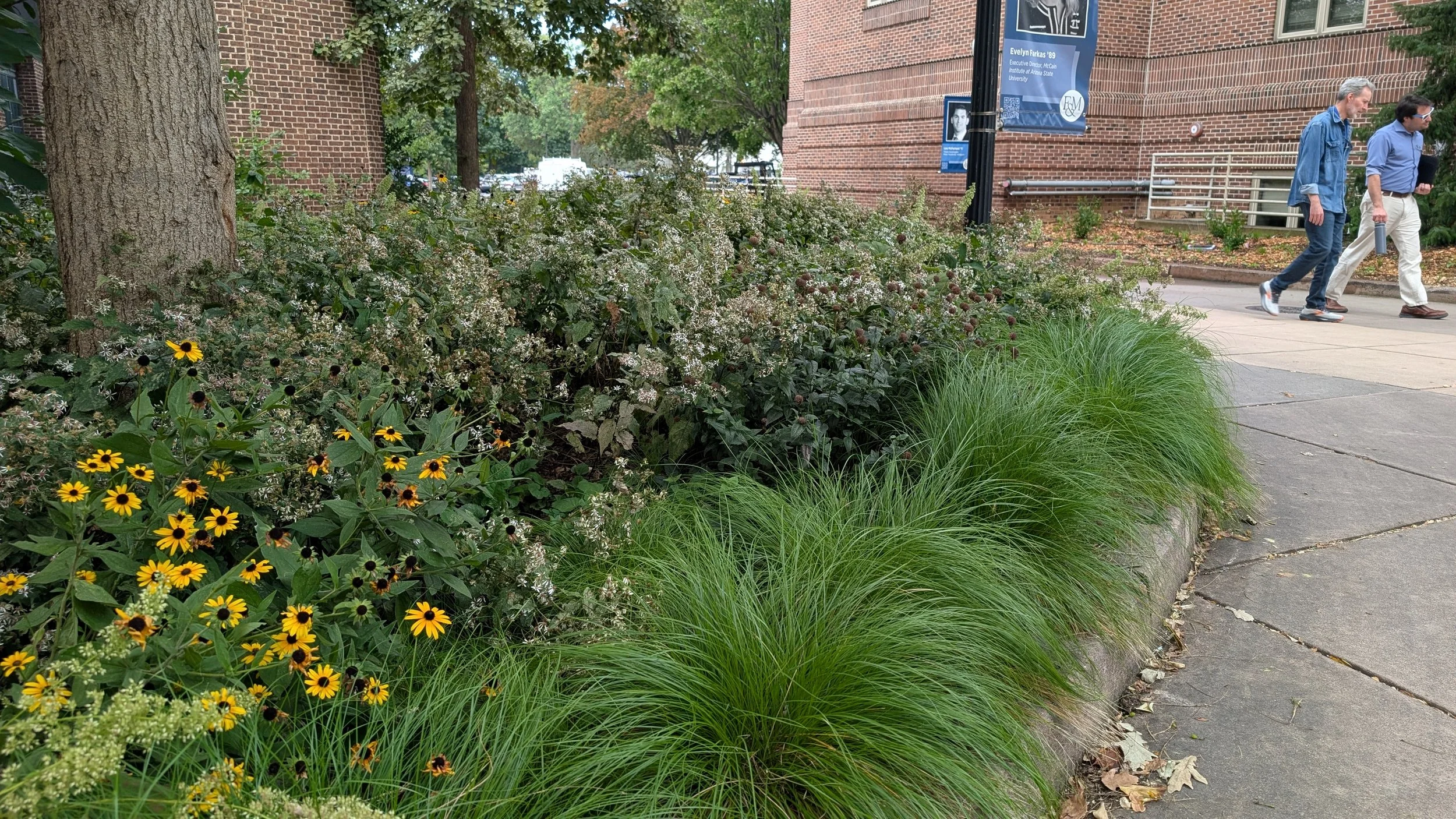 PXL_20260910_184535299.jpg