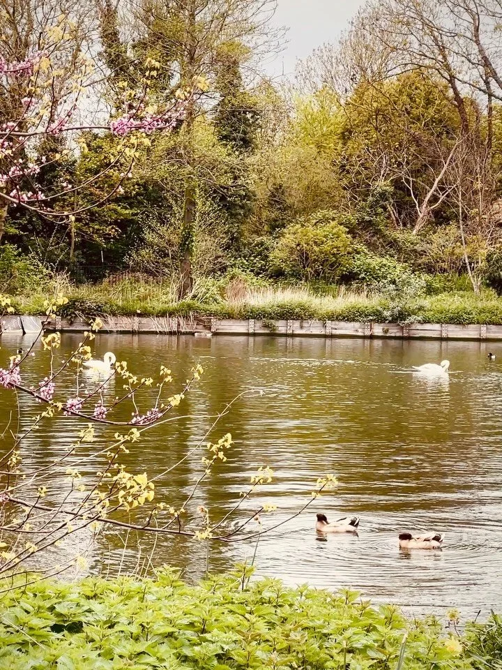 Hi all. We&rsquo;ll be starting Women&rsquo;s Sauna Sessions
Every Saturday &amp; Sunday at 11am
Starting this Sunday 19th April
&pound;18 each. 
Here a lovely clip of the peaceful lake and all its surrounding song birds this morning. Such a relaxing
