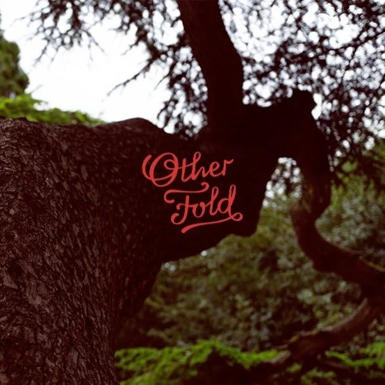 Beneath the ancient Lebanese cedar at Boston Manor Park, time seems to slow down.

Nature has a way of grounding us - fresh air, green space, and quiet moments amongst the trees can calm the nervous system, lift the mood, and bring the body back into