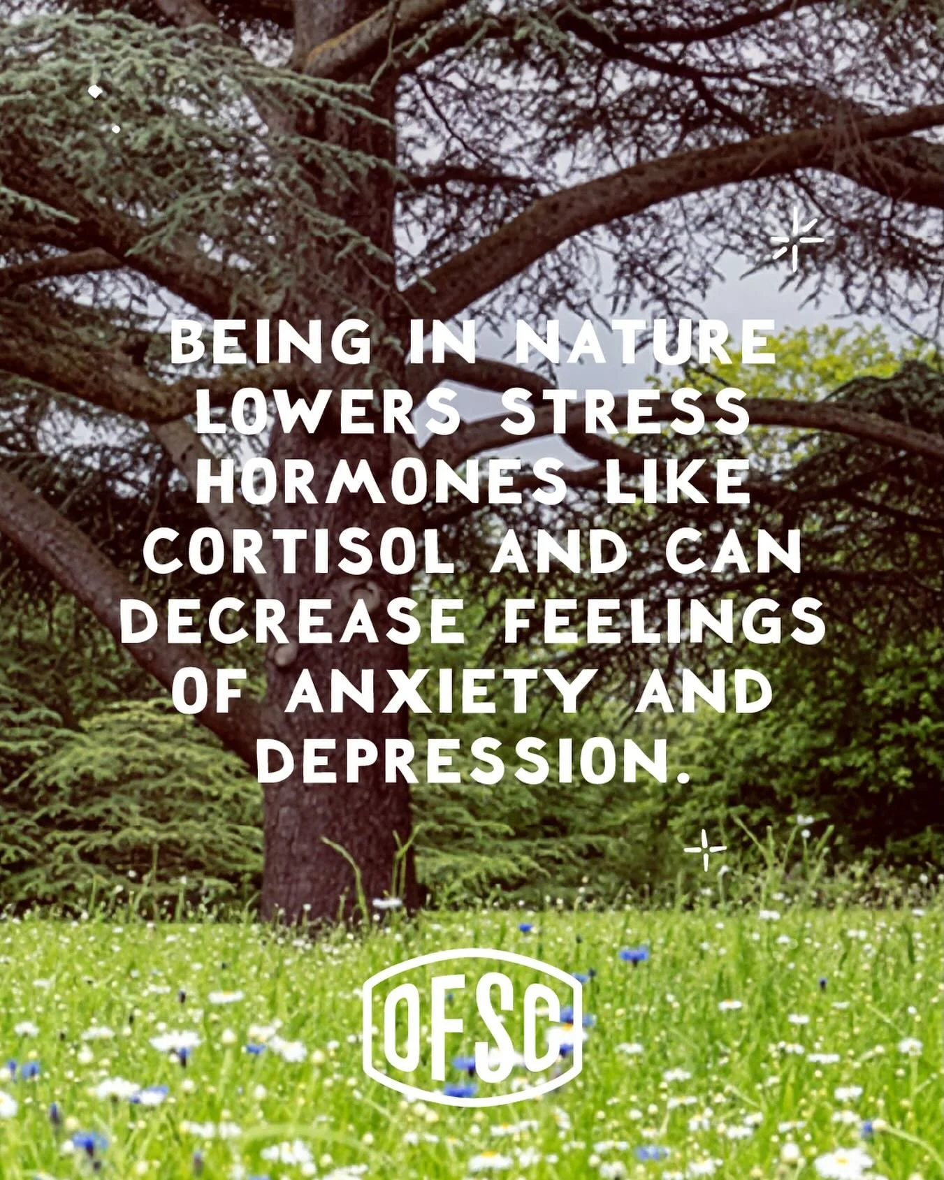 Nature has a way of slowing things down.

Time spent outdoors has been linked to lower cortisol levels, the body&rsquo;s primary stress hormone. When cortisol drops, many people notice they feel calmer, clearer and more at ease.

Pair that with the w