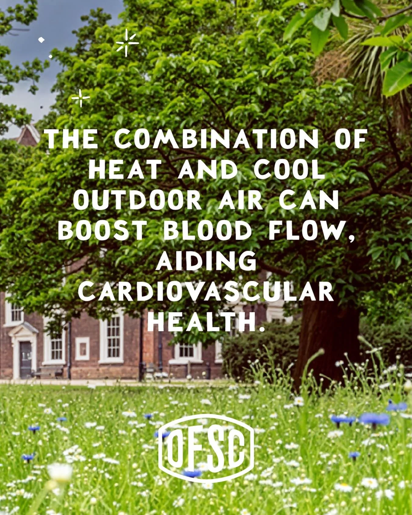 Heat. Fresh air. A moment outdoors.

The contrast between warmth and cool air is one of the things that makes sauna feel so good. Moving between heat and the natural world can help support healthy circulation, leaving you feeling refreshed, restored 