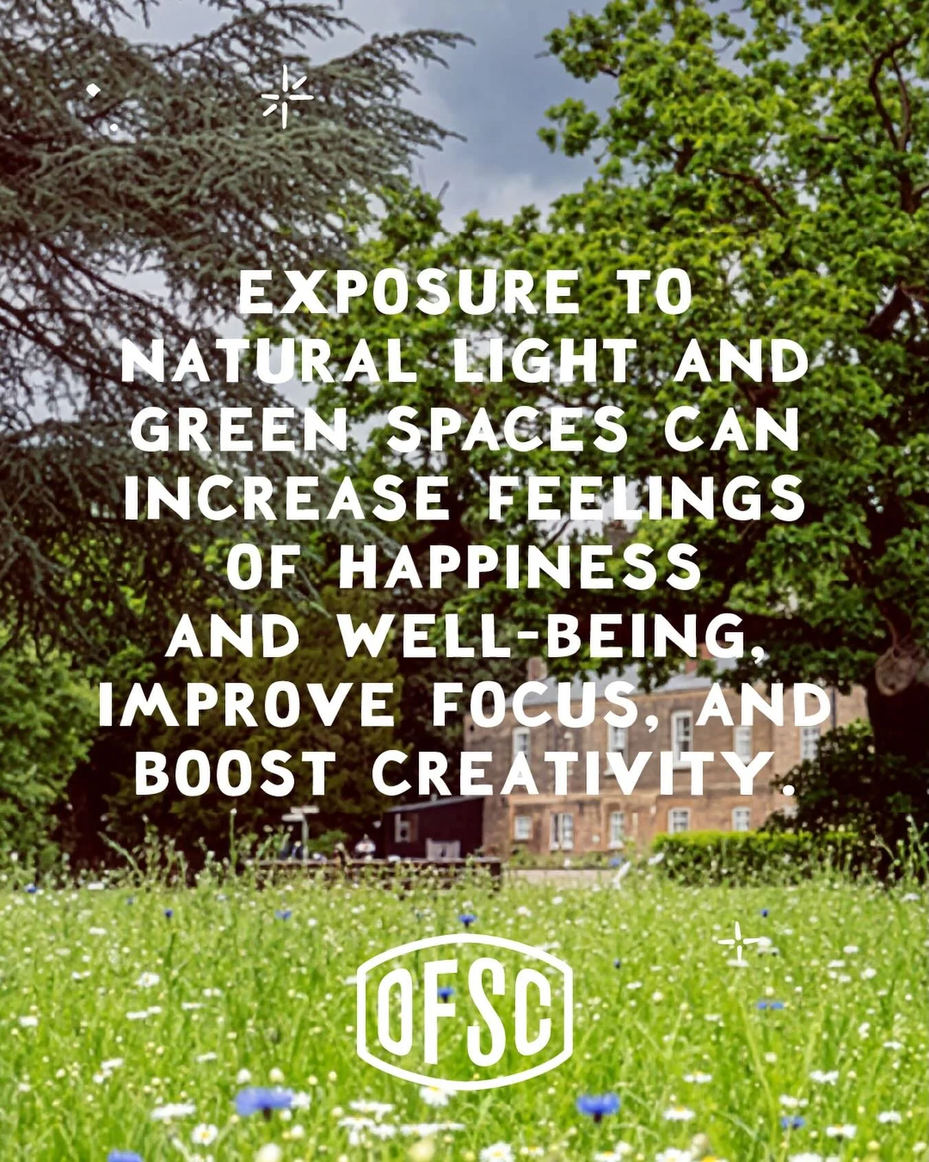 There&rsquo;s something powerful about stepping outside.

A few moments among trees, fresh air and natural light can help quiet the mind, lift your mood and bring a little more clarity to the day.

Add the warmth of a sauna and it becomes a simple ri