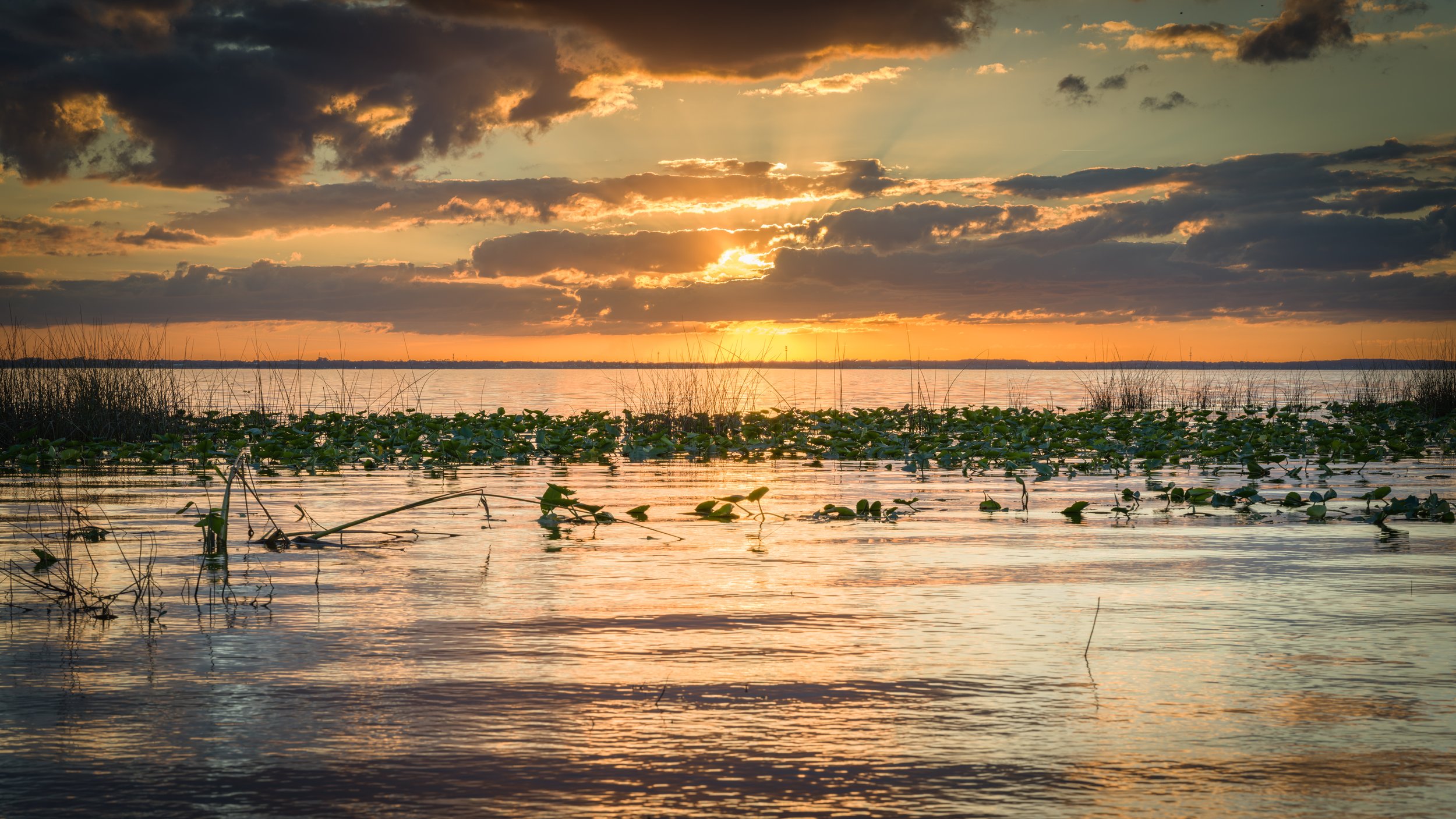 B0003292 Low Res.jpg