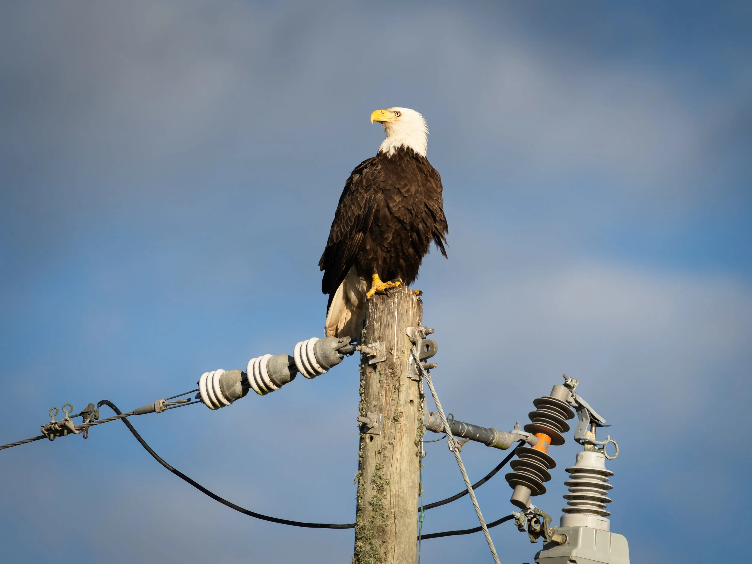 DSC04879 Low Res.jpg