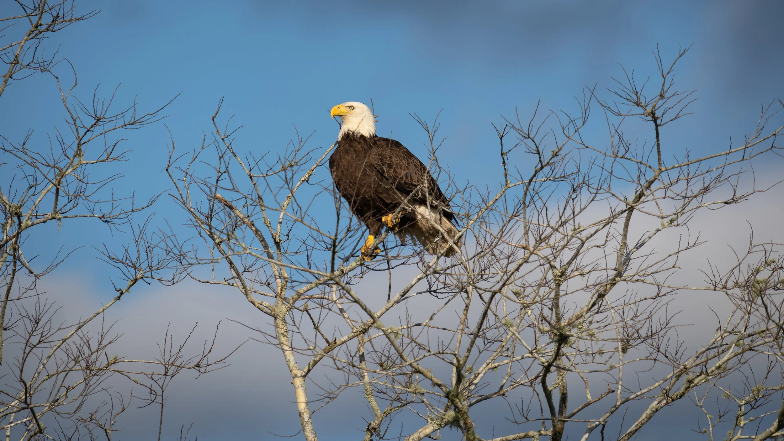 DSC04756 Low Res.jpg