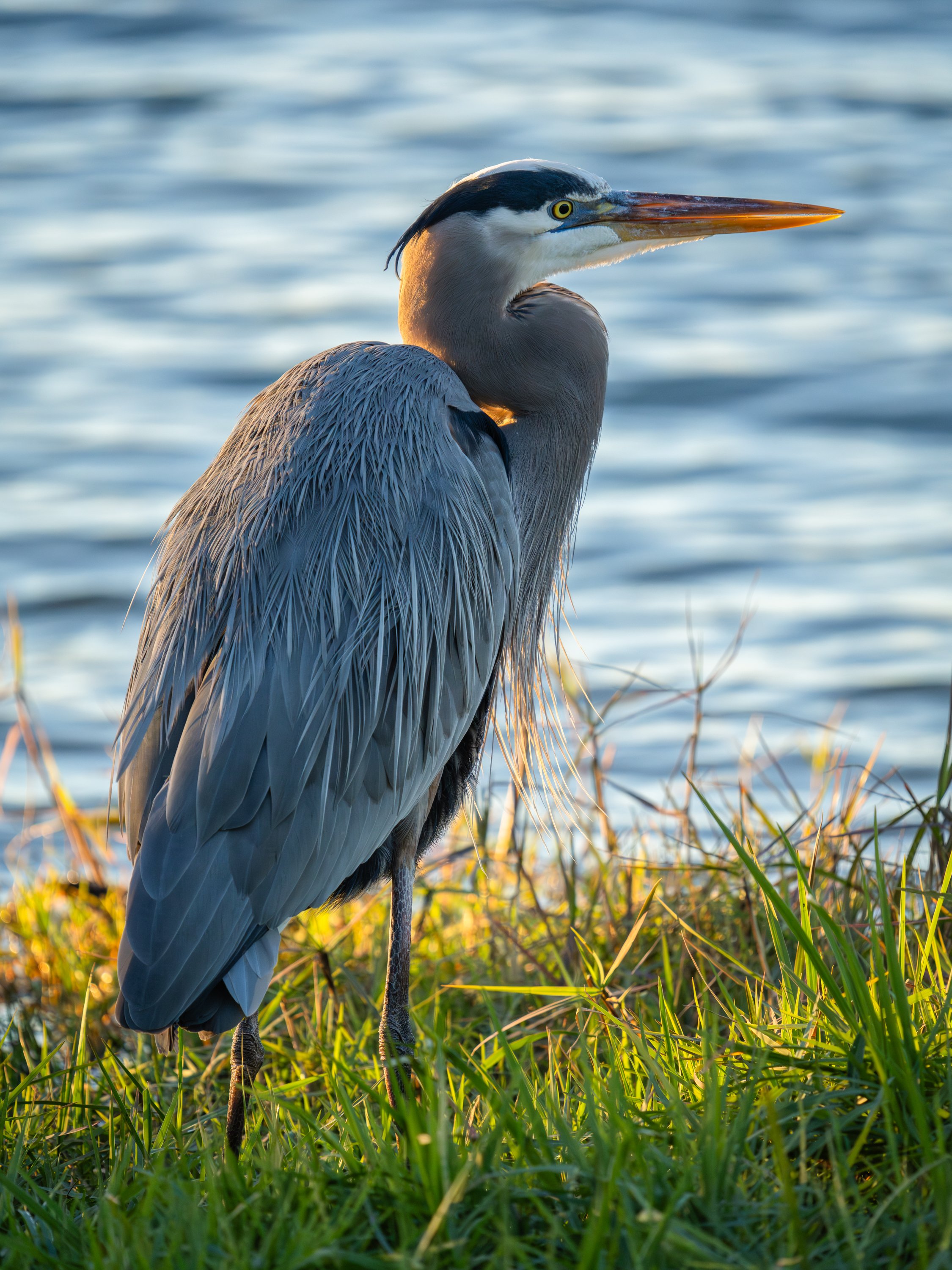 DSC05023 Low Res.jpg