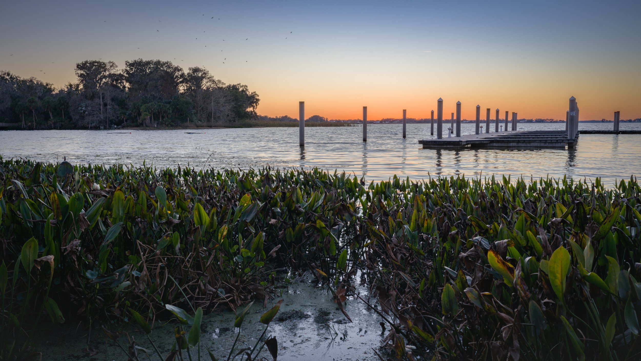 B0003231 Low Res.jpg