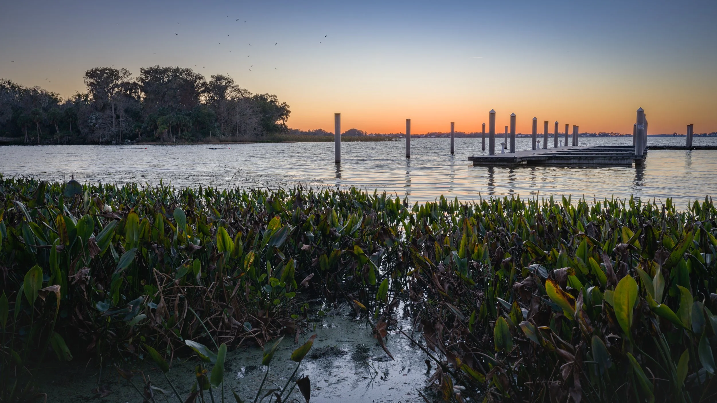 B0003231 Low Res.jpg