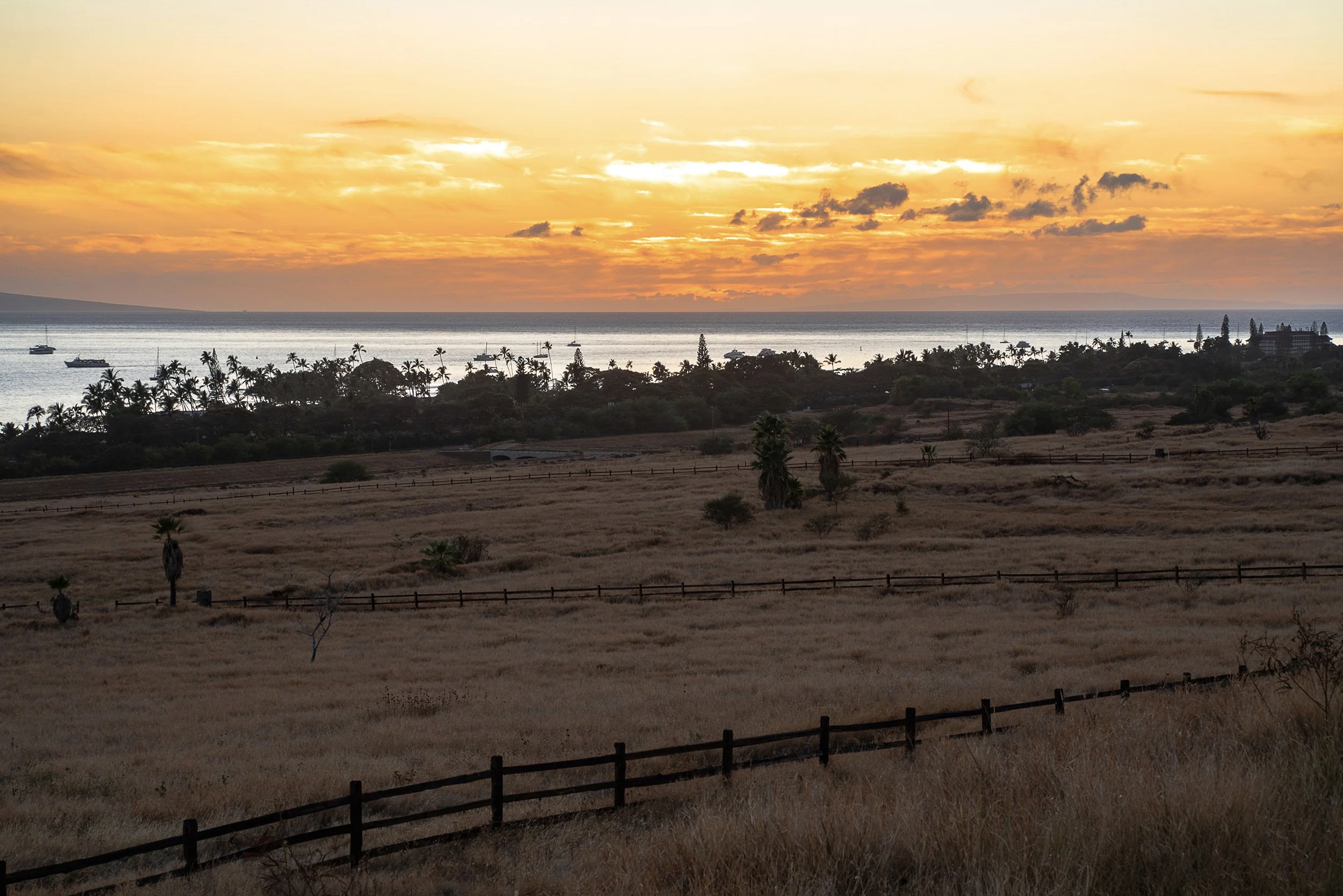 Kaanapali Beach.jpg