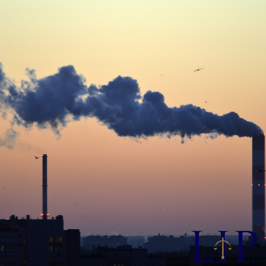 Climate Litigation: When Courts Become the Last Line of Defence