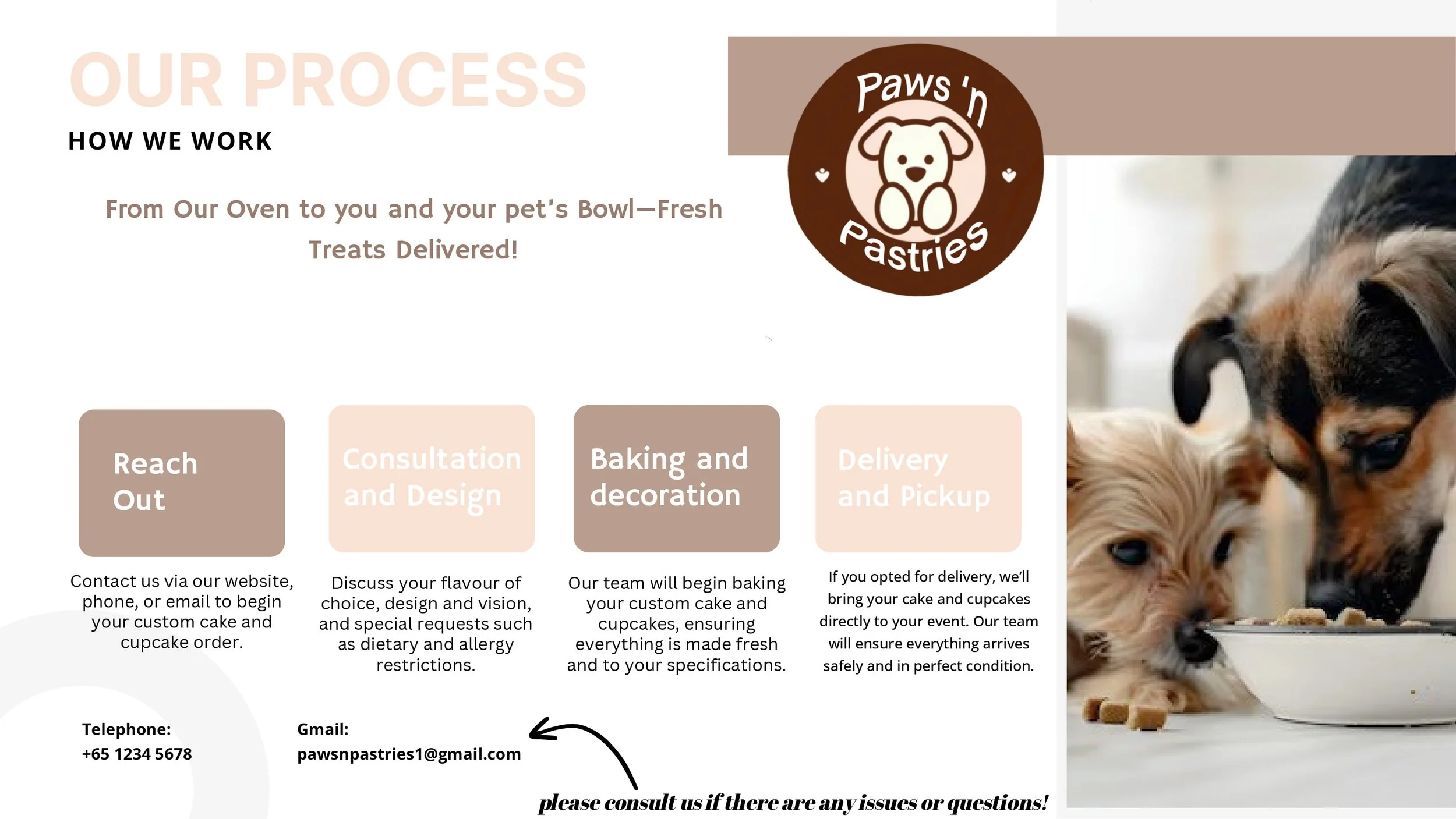 Paws & Pastry_page-0006.jpg