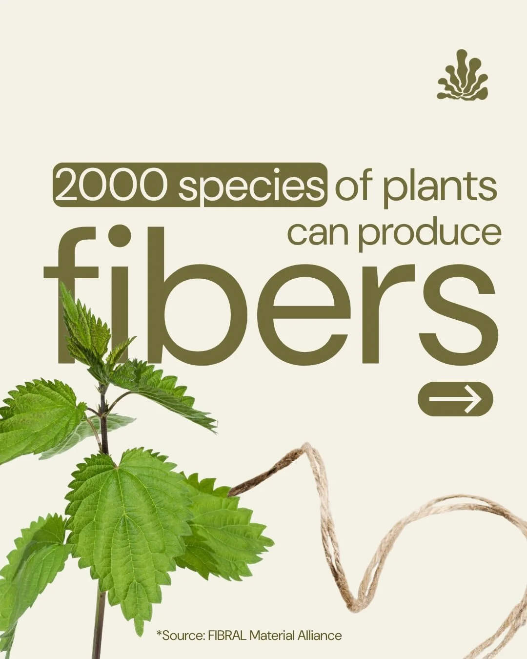 Around 2000 species of plants can produce fibers - like bananas, pineapples or hemp, how nice is that? 🌱

Over the past 50 years, there hasn&rsquo;t been much innovation in new machines or processes, mainly because synthetic fibers and cotton have t