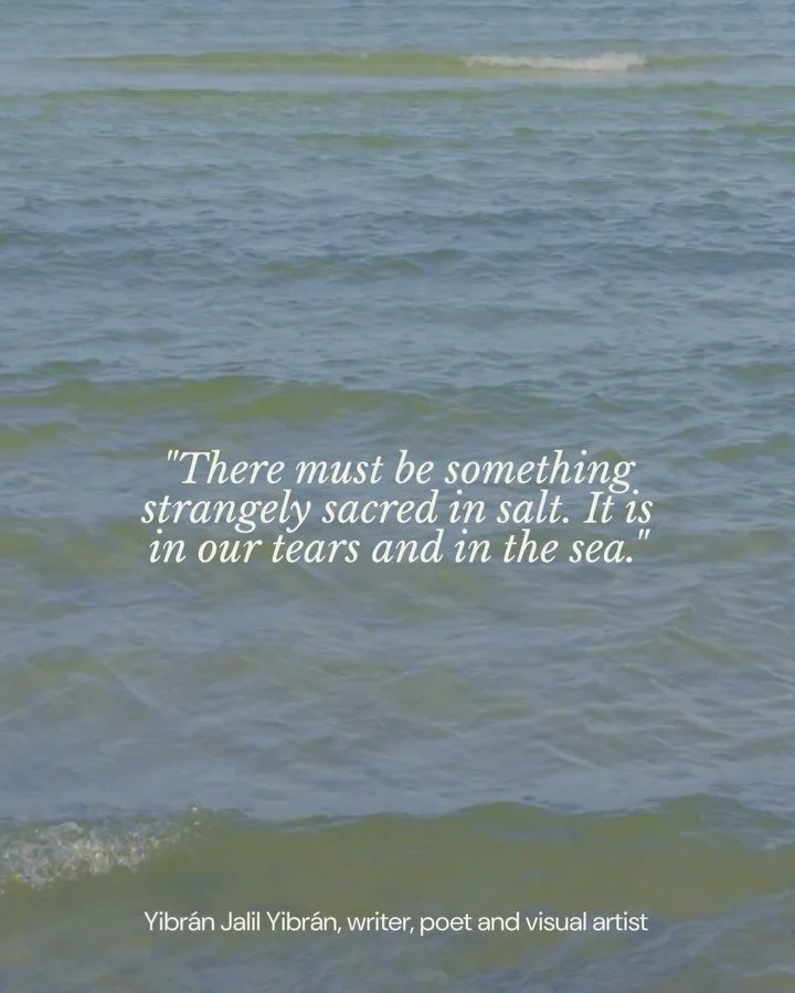 Today, we wanted to highlight a few quotes about the ocean 🌱🌊 

No matter when, we will always talk about it, because is the ocean the one that shapes and grows seagrass, the material that we use to develop plant-based fibers. 

We are always curio