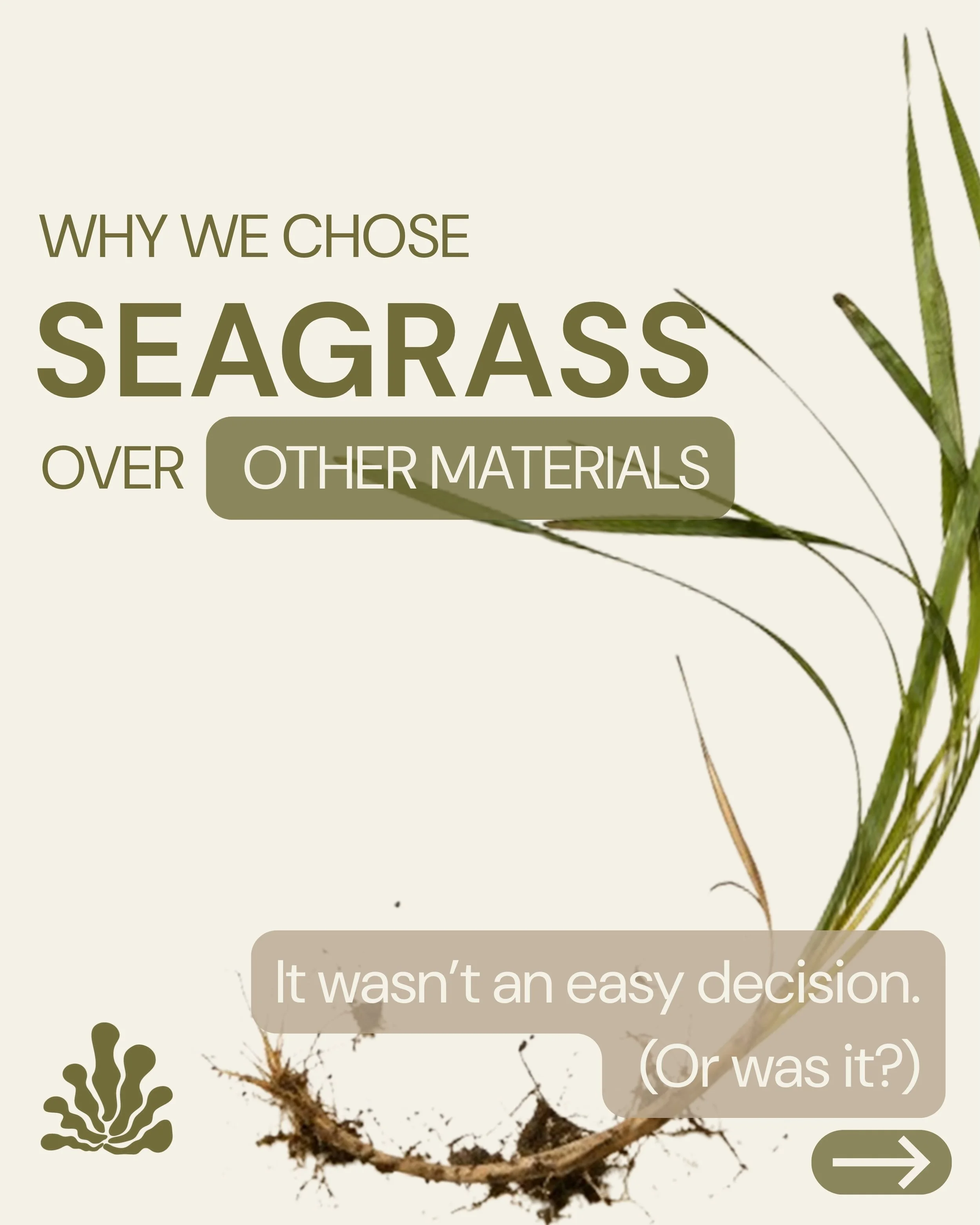 Why seagrass? 🌊

It wasn&rsquo;t an easy decision. (Or was it?)

We spent months evaluating materials and seagrass kept winning. Here&rsquo;s why ⬆️

We&rsquo;re proving ocean-based fibers can scale. Join the movement.

Link in bio to our crowdfundi