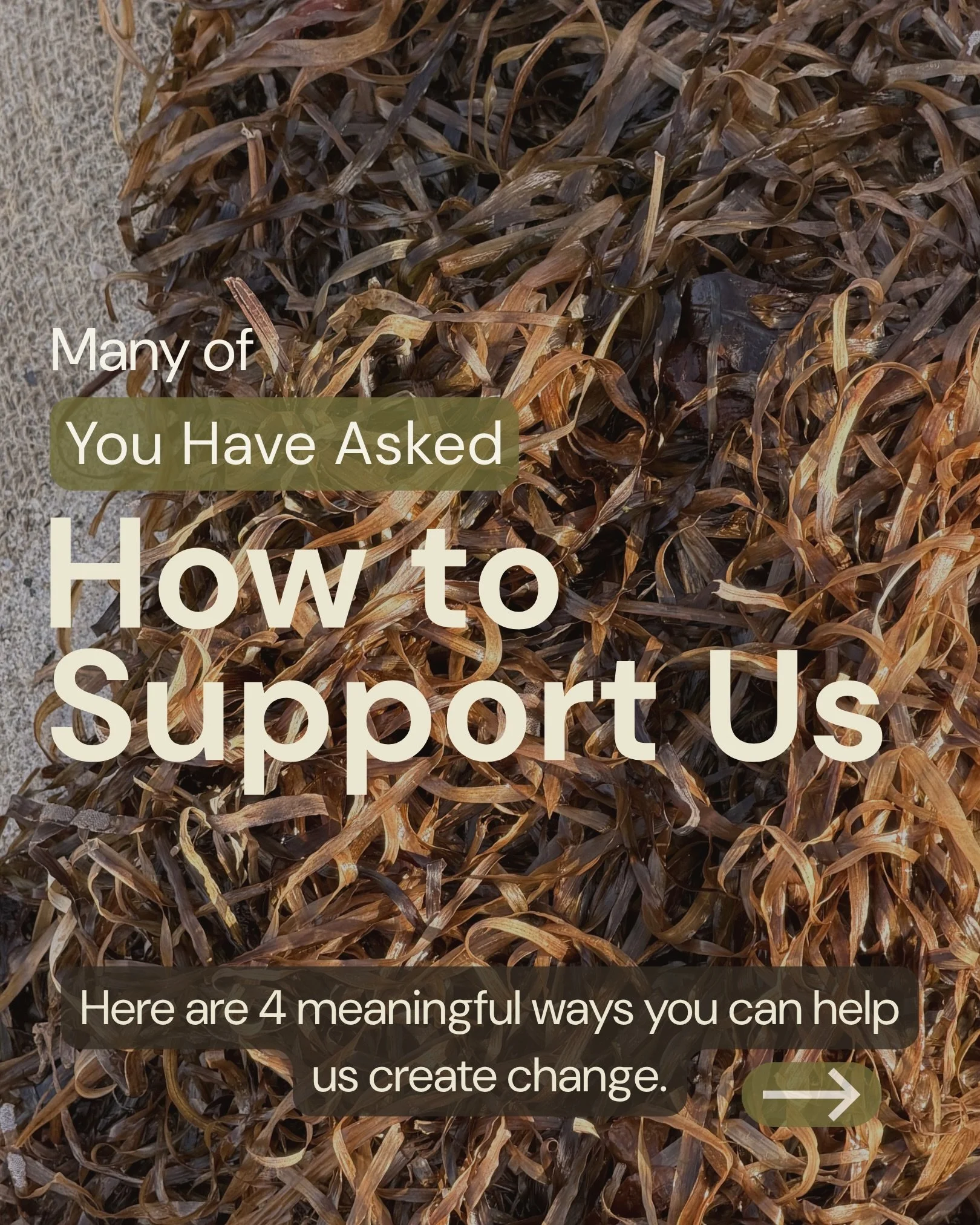Many of you have asked how to support what we&rsquo;re building at Salt &amp; Fiber. 💚

Turning seagrass into textile fibers isn&rsquo;t just about creating sustainable materials - it&rsquo;s about protecting marine ecosystems and reducing our depen