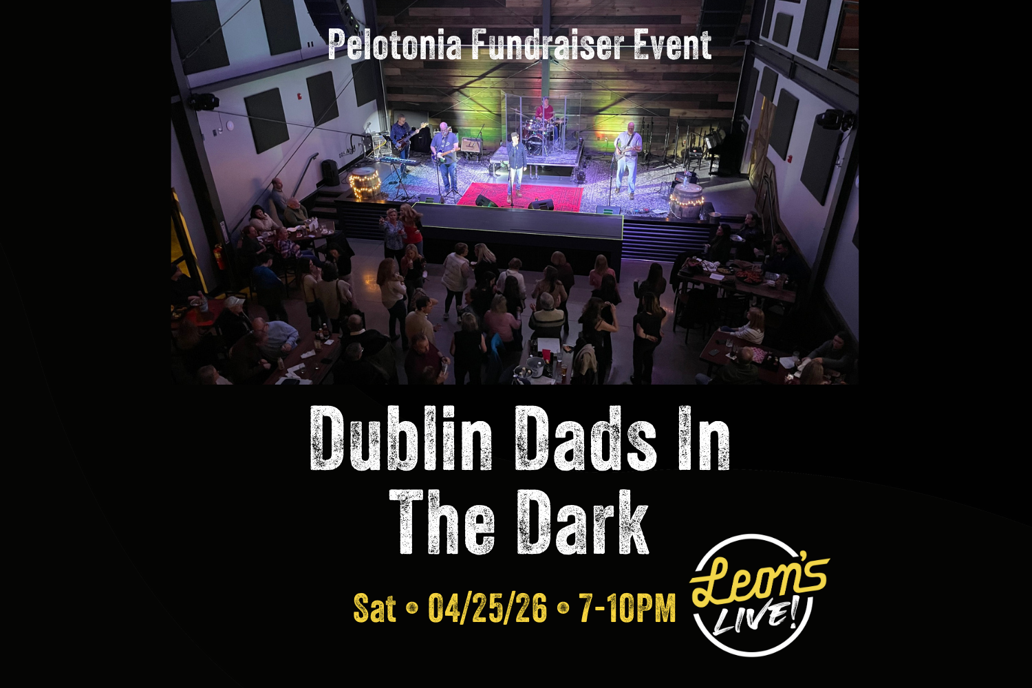 CONCERT FOR A CURE: Dublin Dads in the Dark