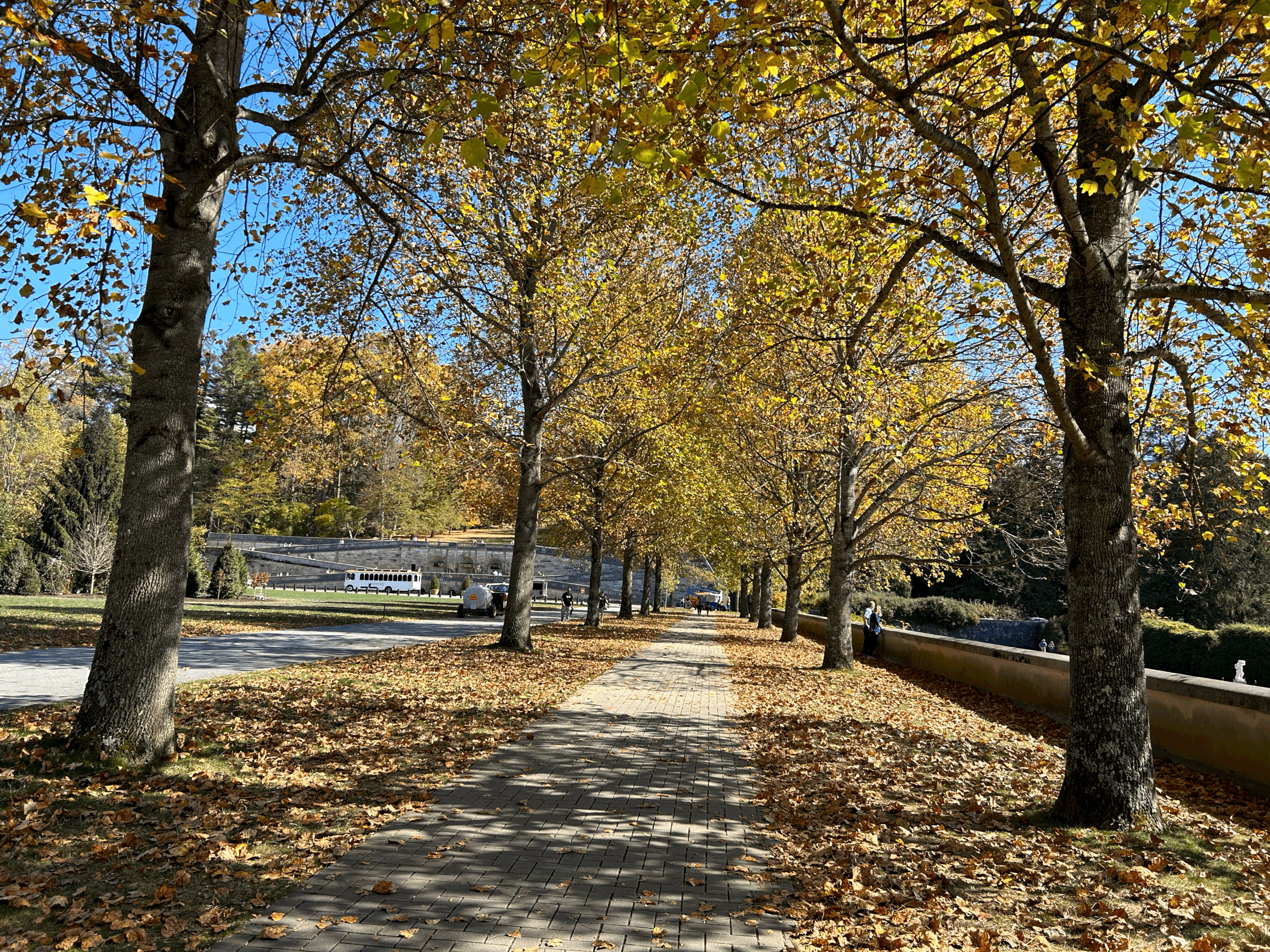 A Medium’s Perspective