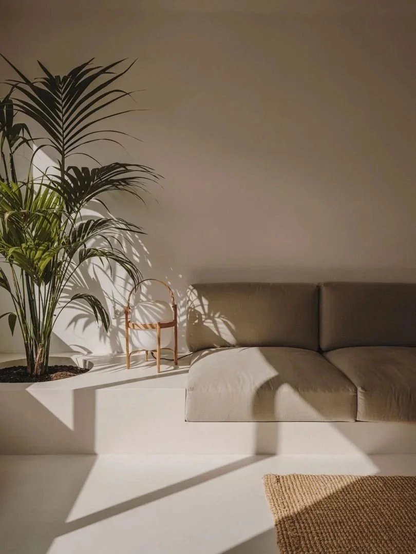 Sala de estar con un sillón beige, una planta grande en una maceta blanca y un pequeño mueble de madera con sombra en la pared.