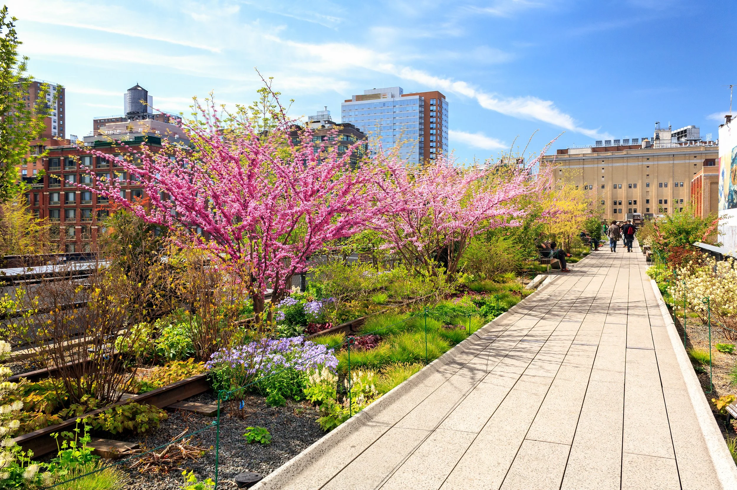 An image of The High Line