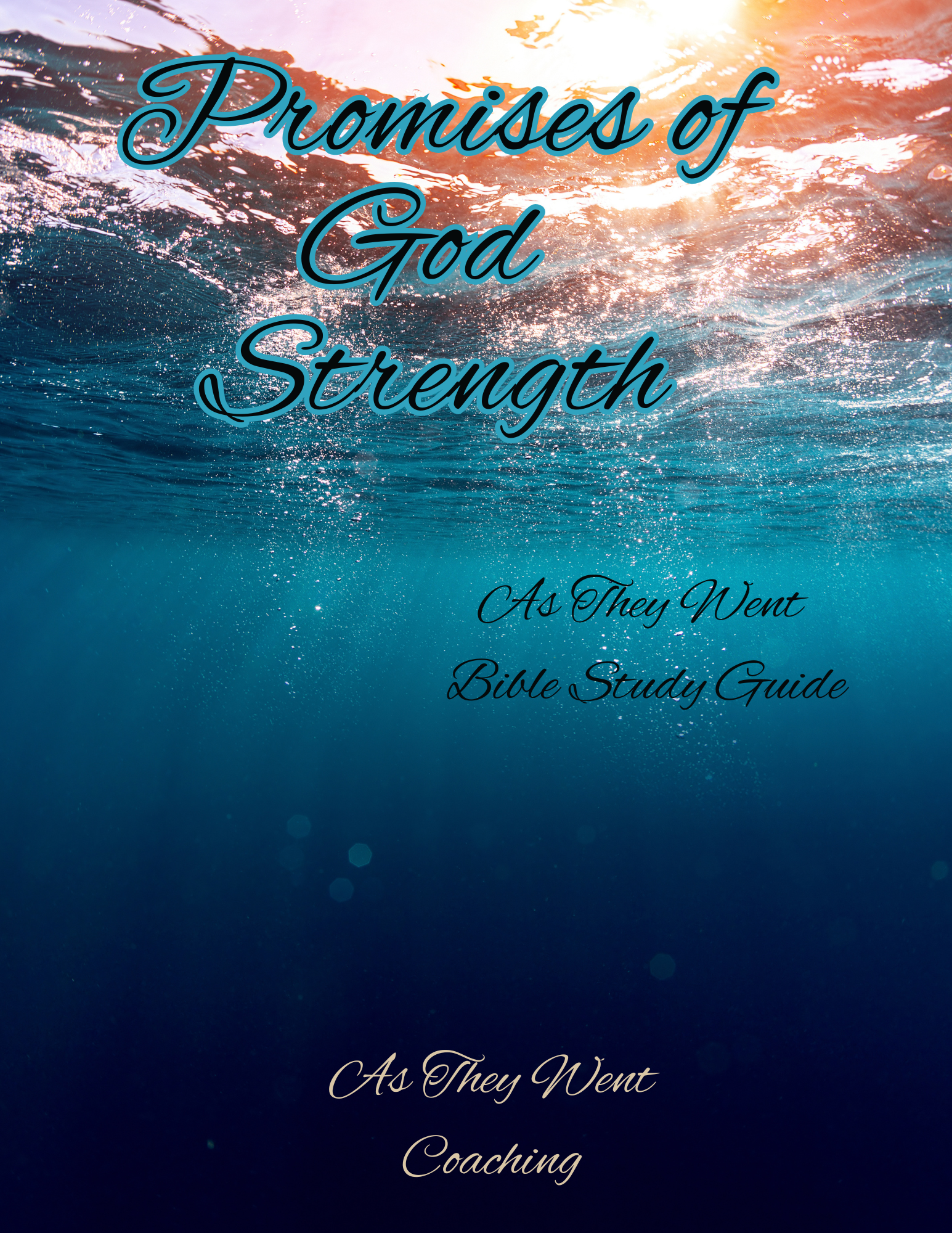 Promises of God Strength Store Pic.png