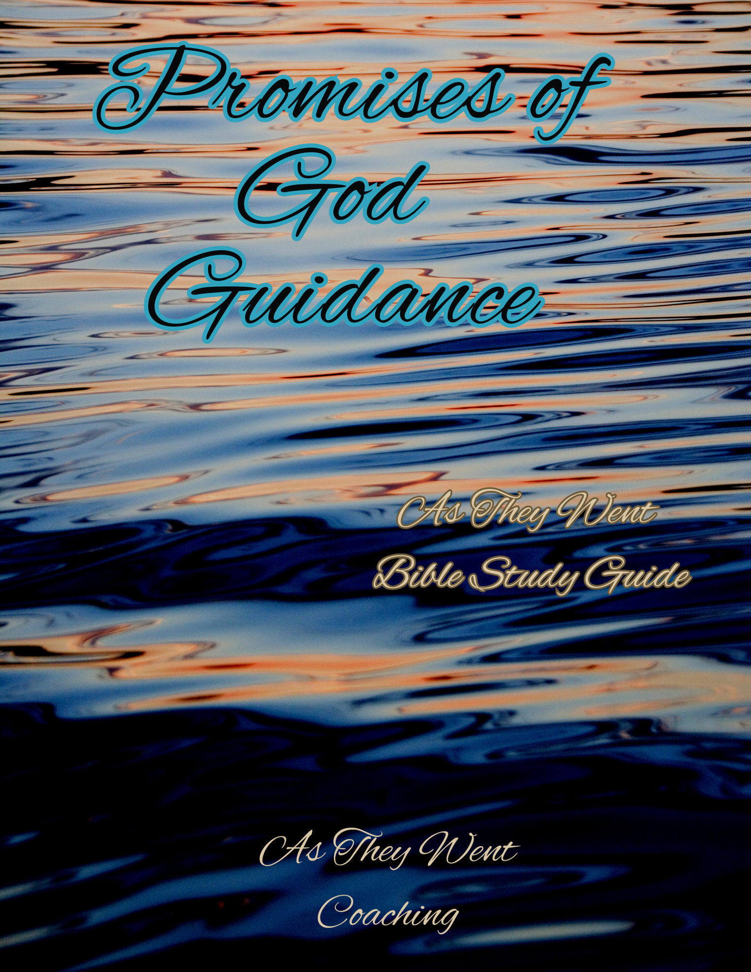 Promises of God Guidance Store Pic.png