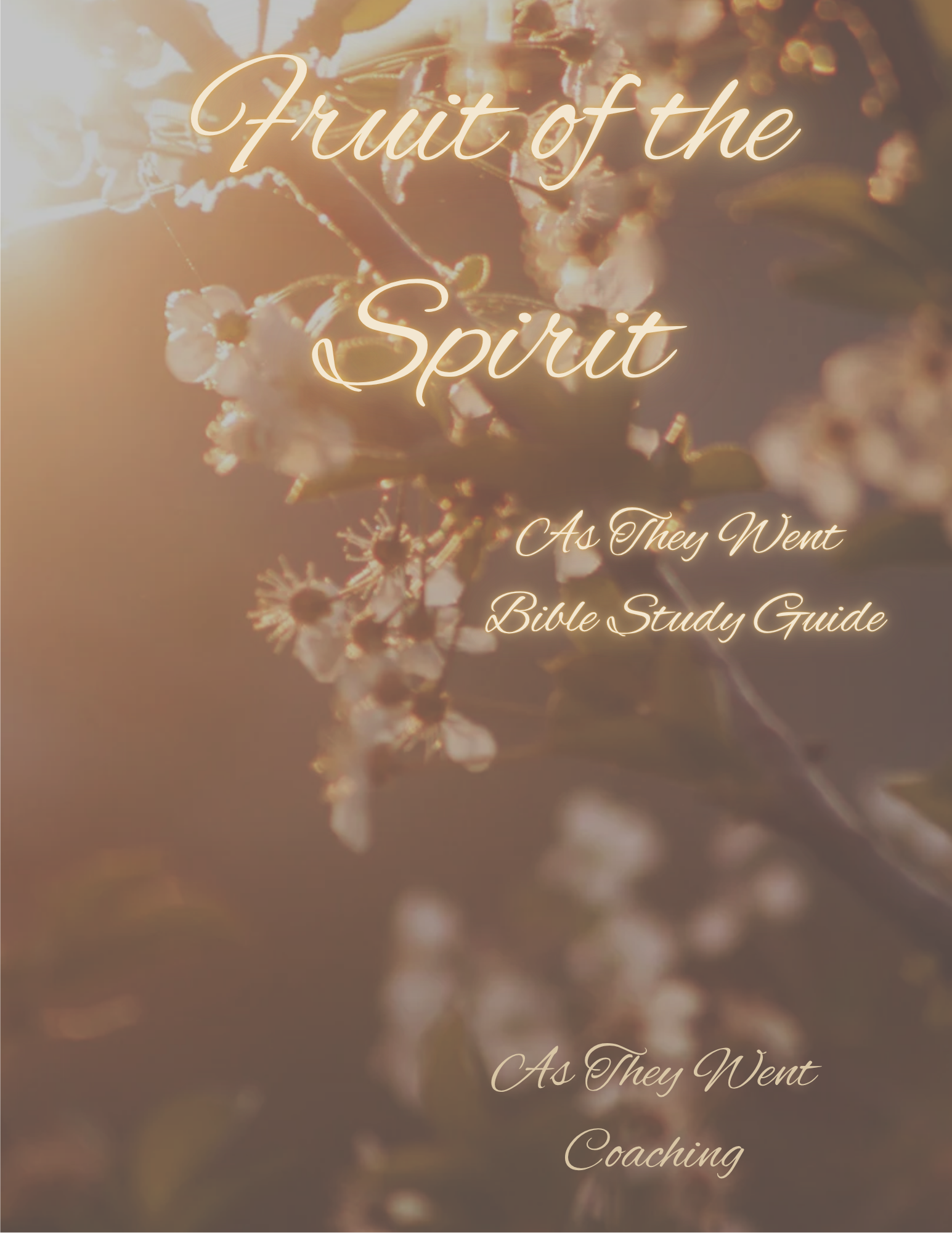 Fruit of the Spirit Bible Study Guide Webpage Picture.png